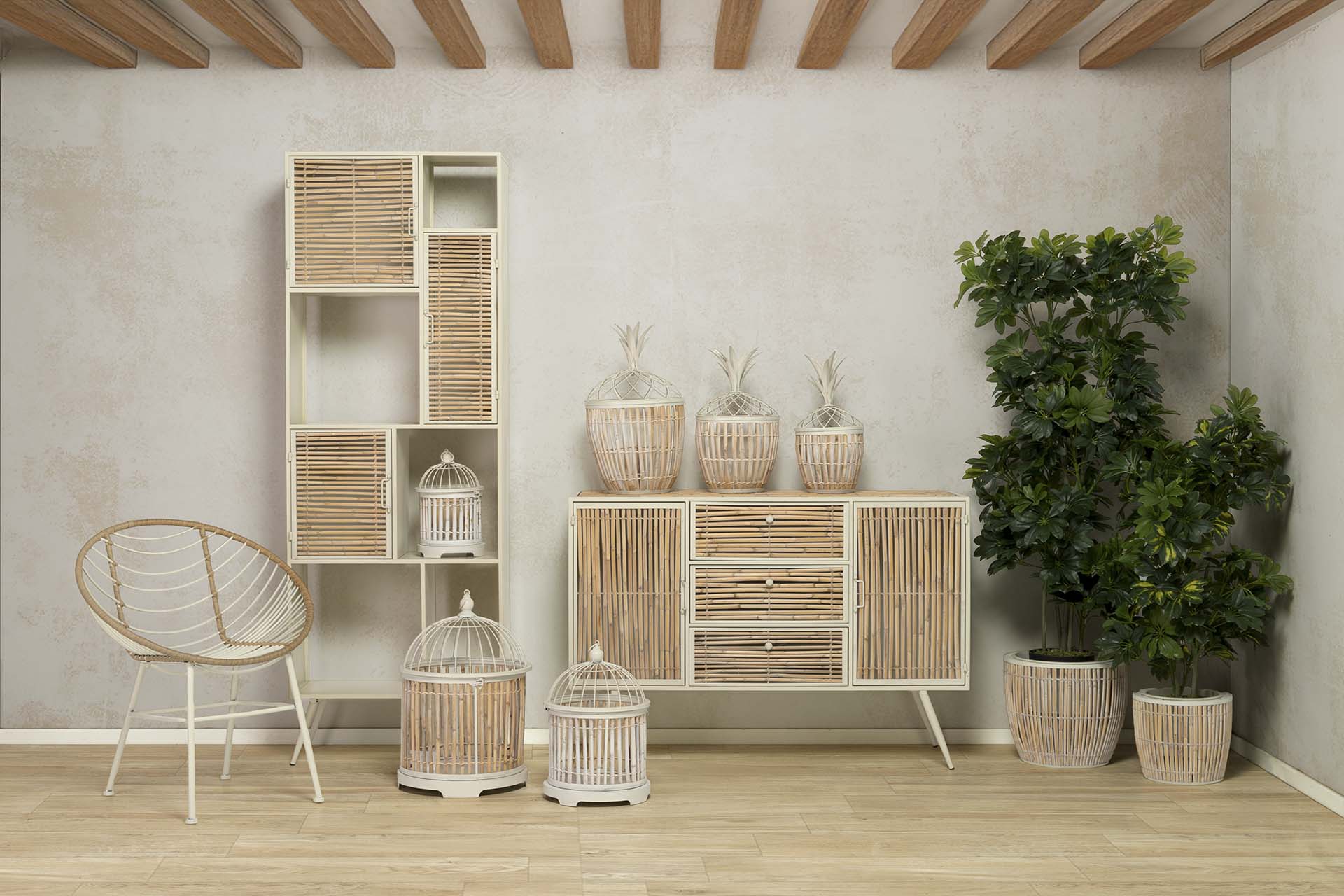 PLANTA SCHEFFLERA ARBORICOLA 60x60x145 CM