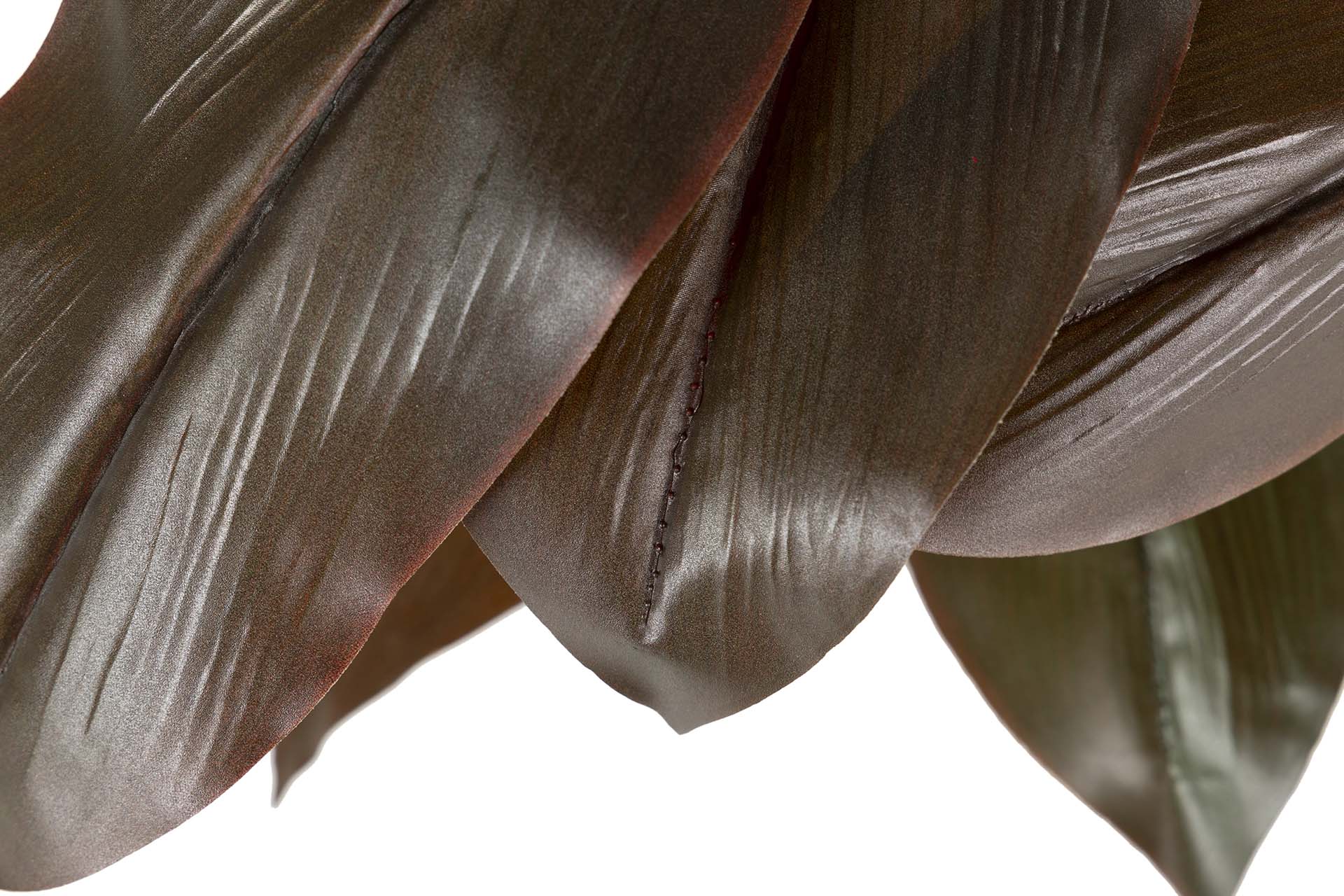 PLANTA CORDYLINE FRUTICOSA 70x60x110 CM