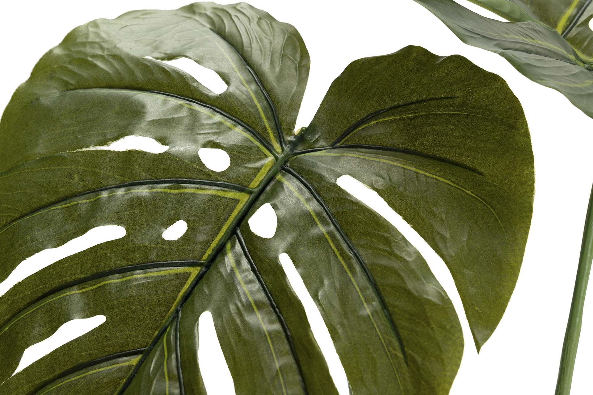 Planta Monstera 110x70x155 cm