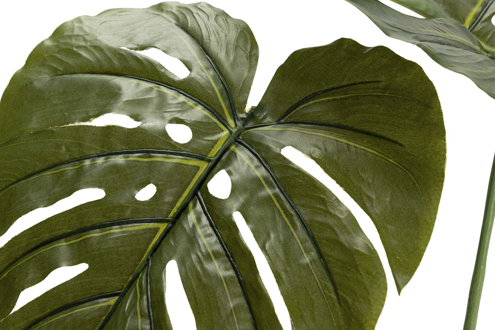 PLANTA MONSTERA 110x70x155 CM