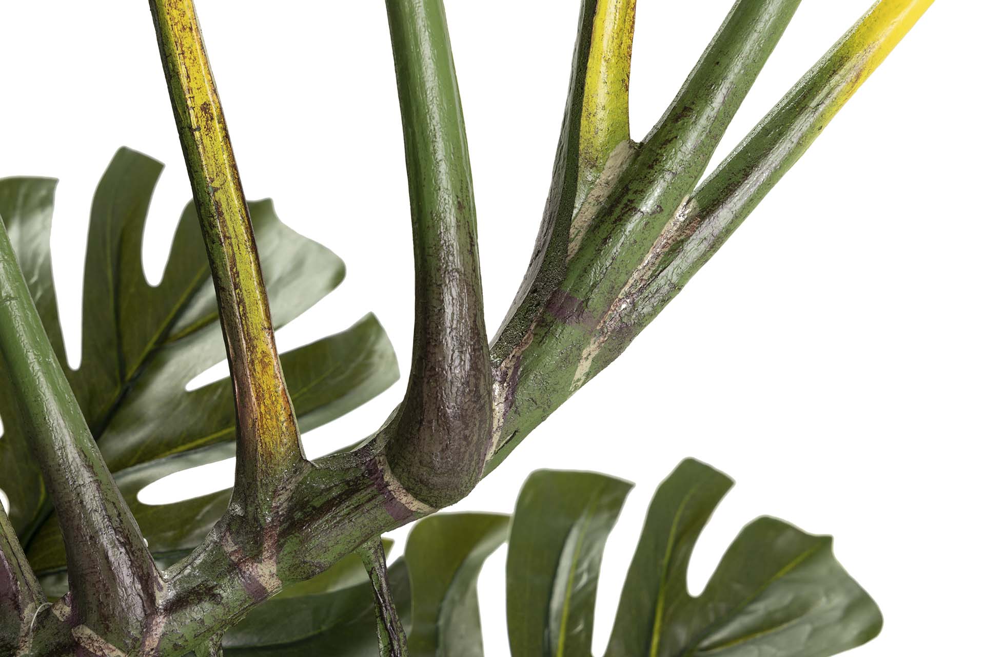 Planta Monstera 110x70x155 cm