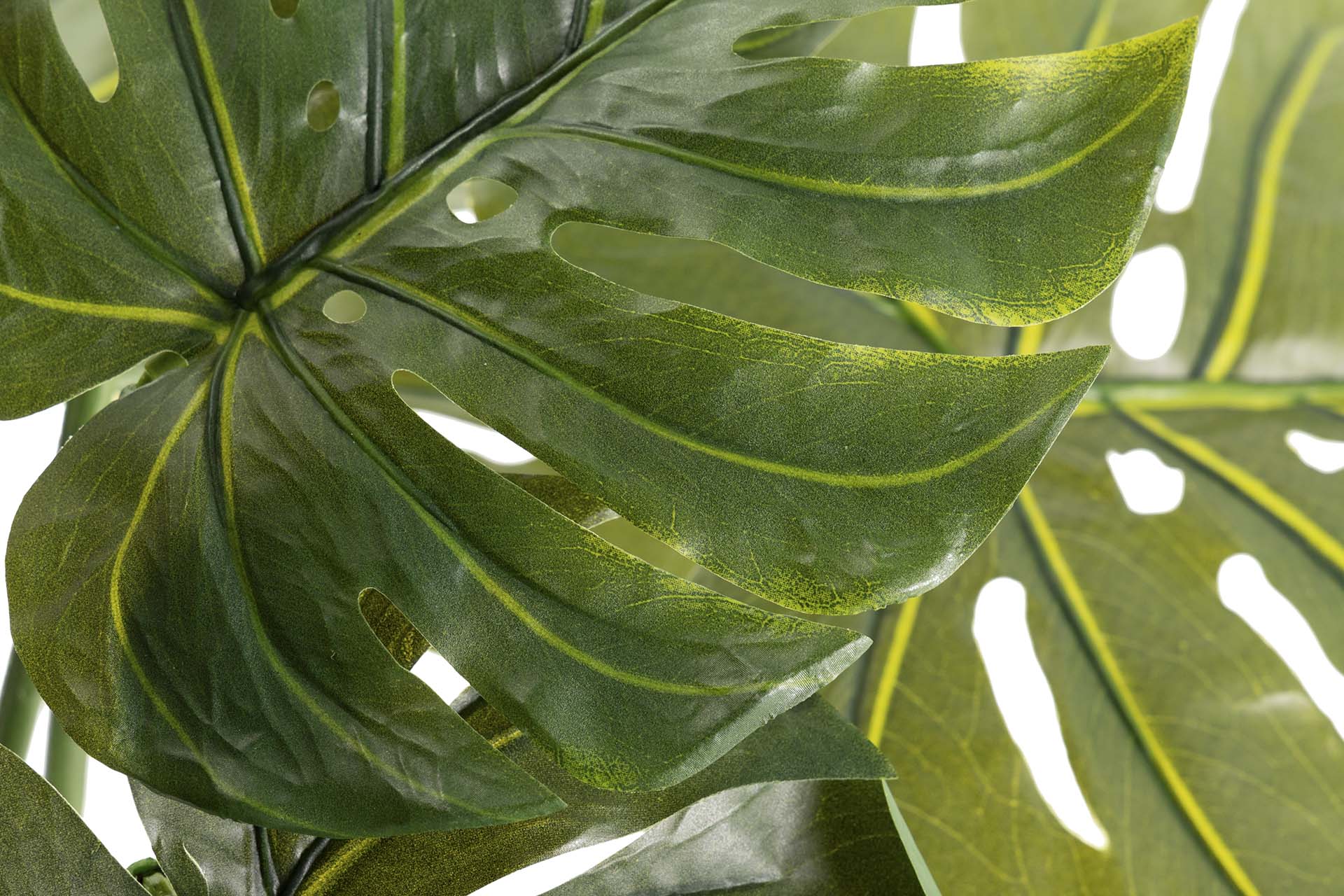 Planta Monstera 110x70x155 cm