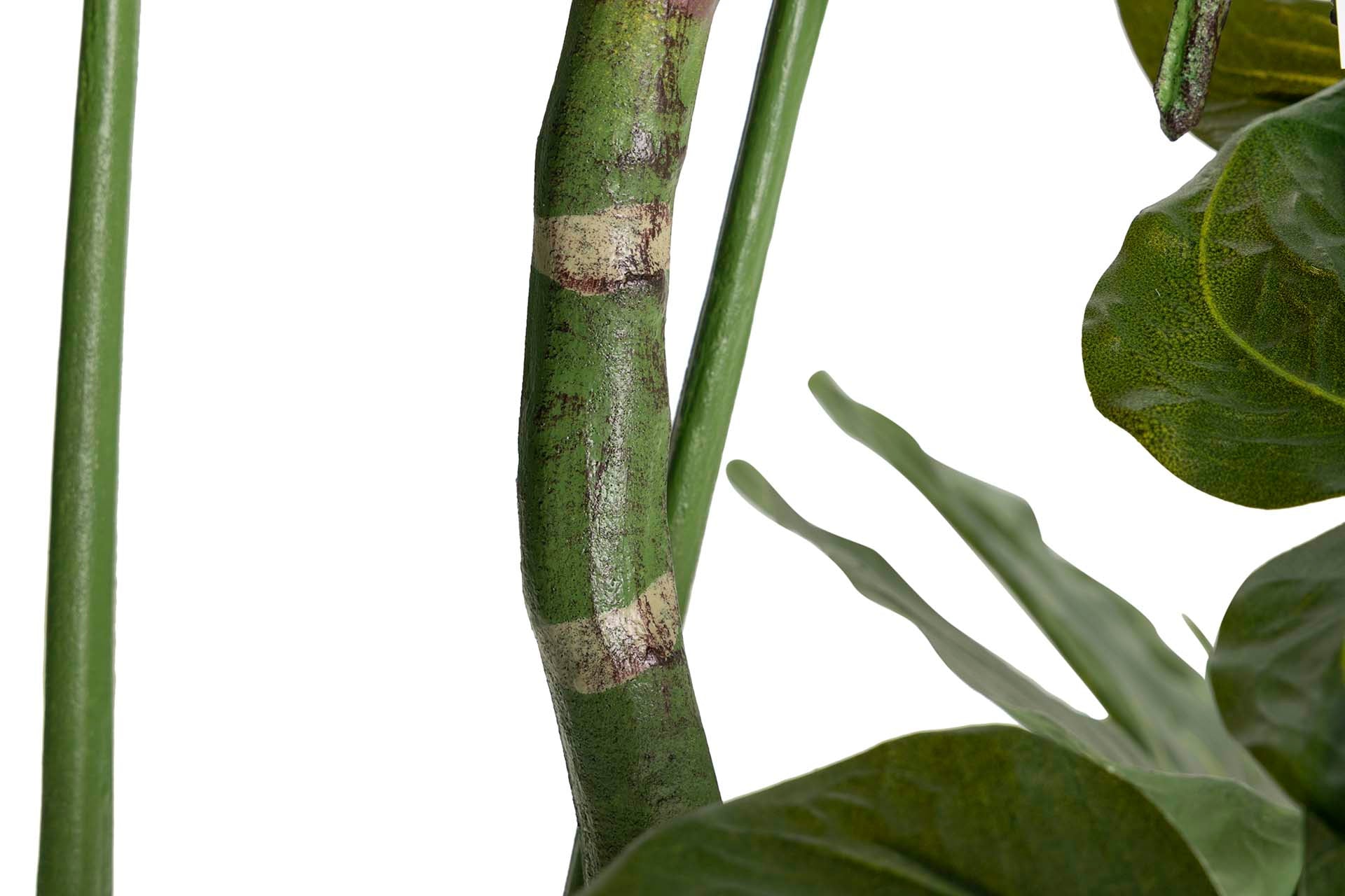 Planta Monstera 110x70x155 cm