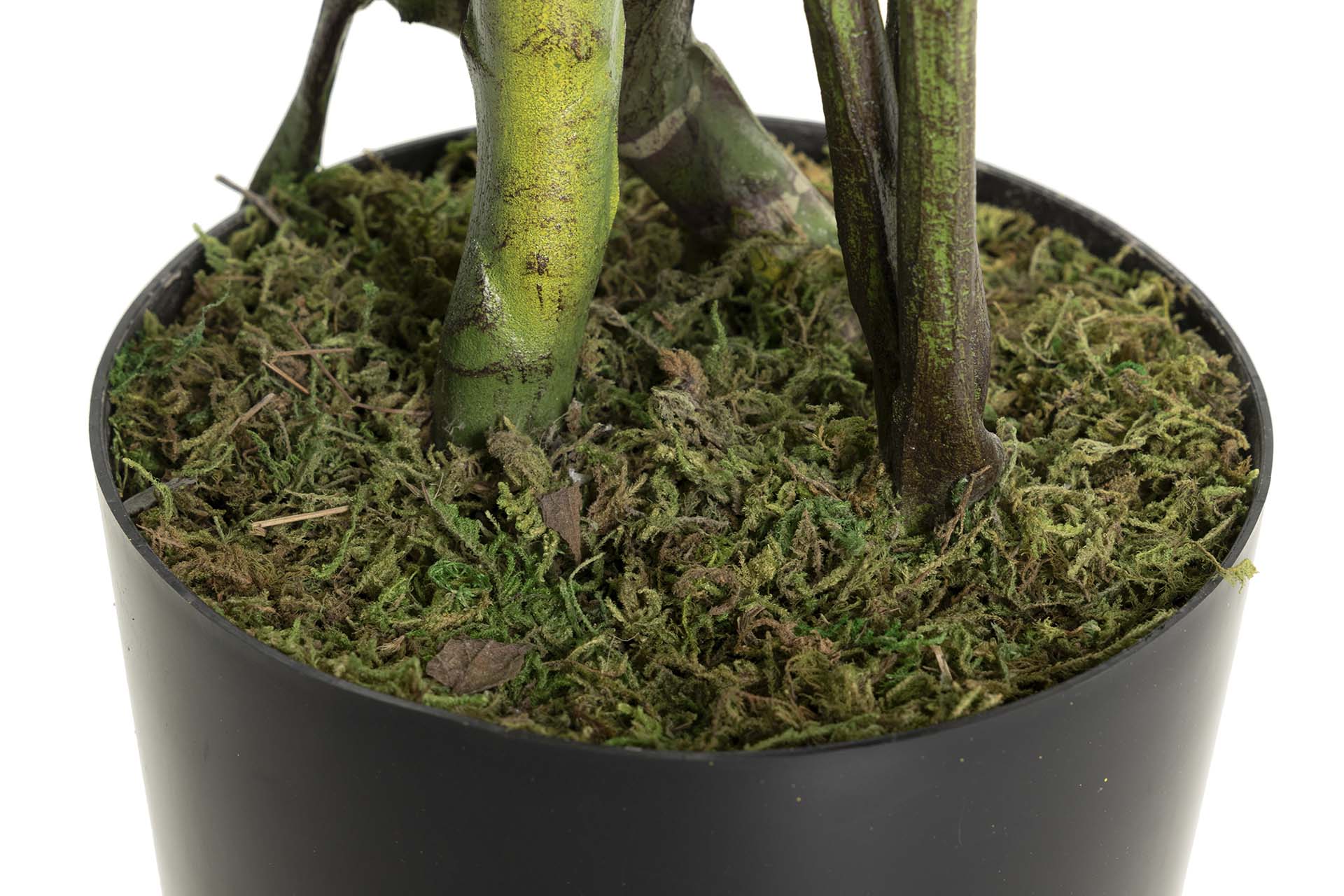 Planta Monstera 110x70x155 cm