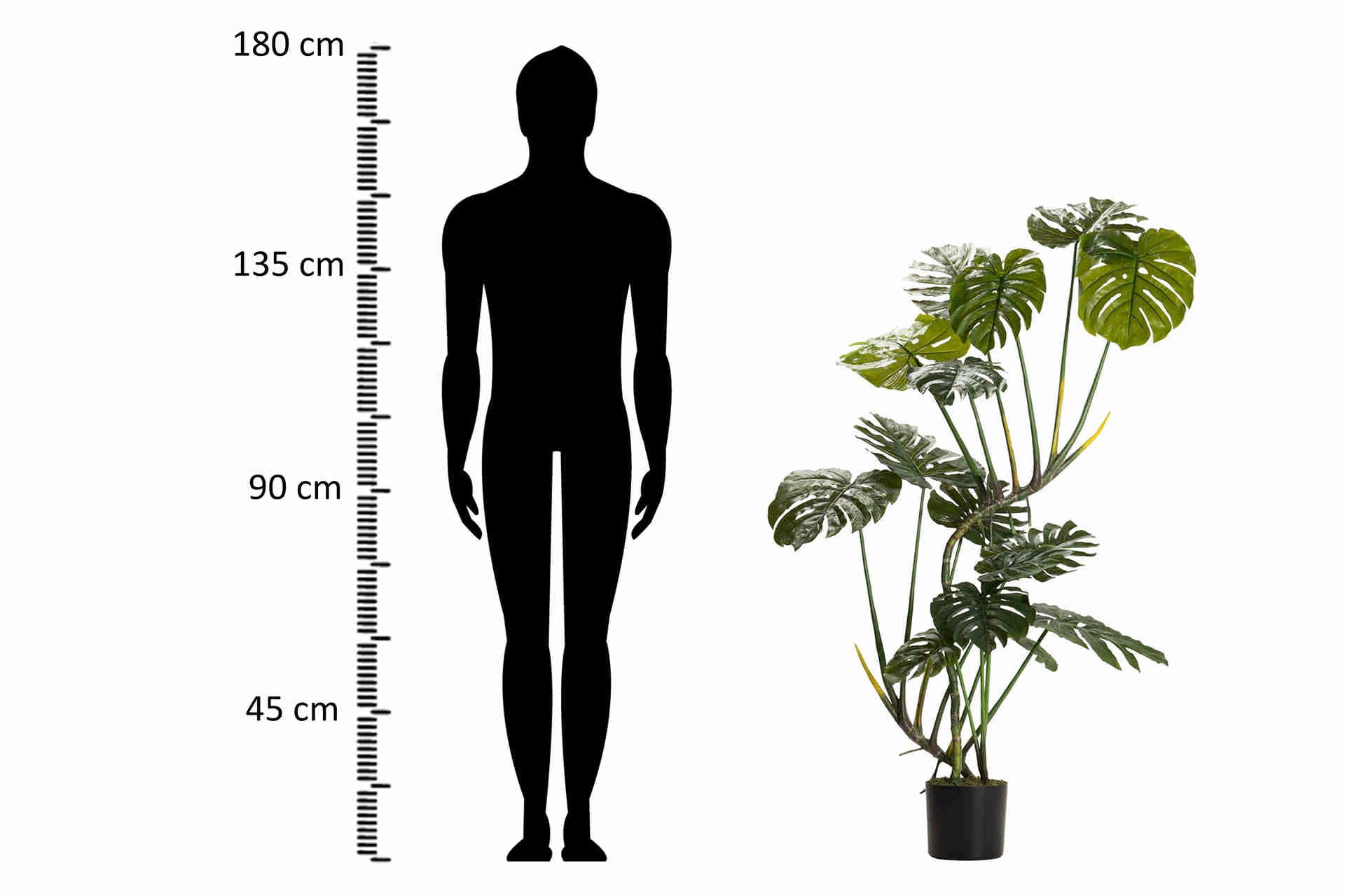 Planta Monstera 110x70x155 cm