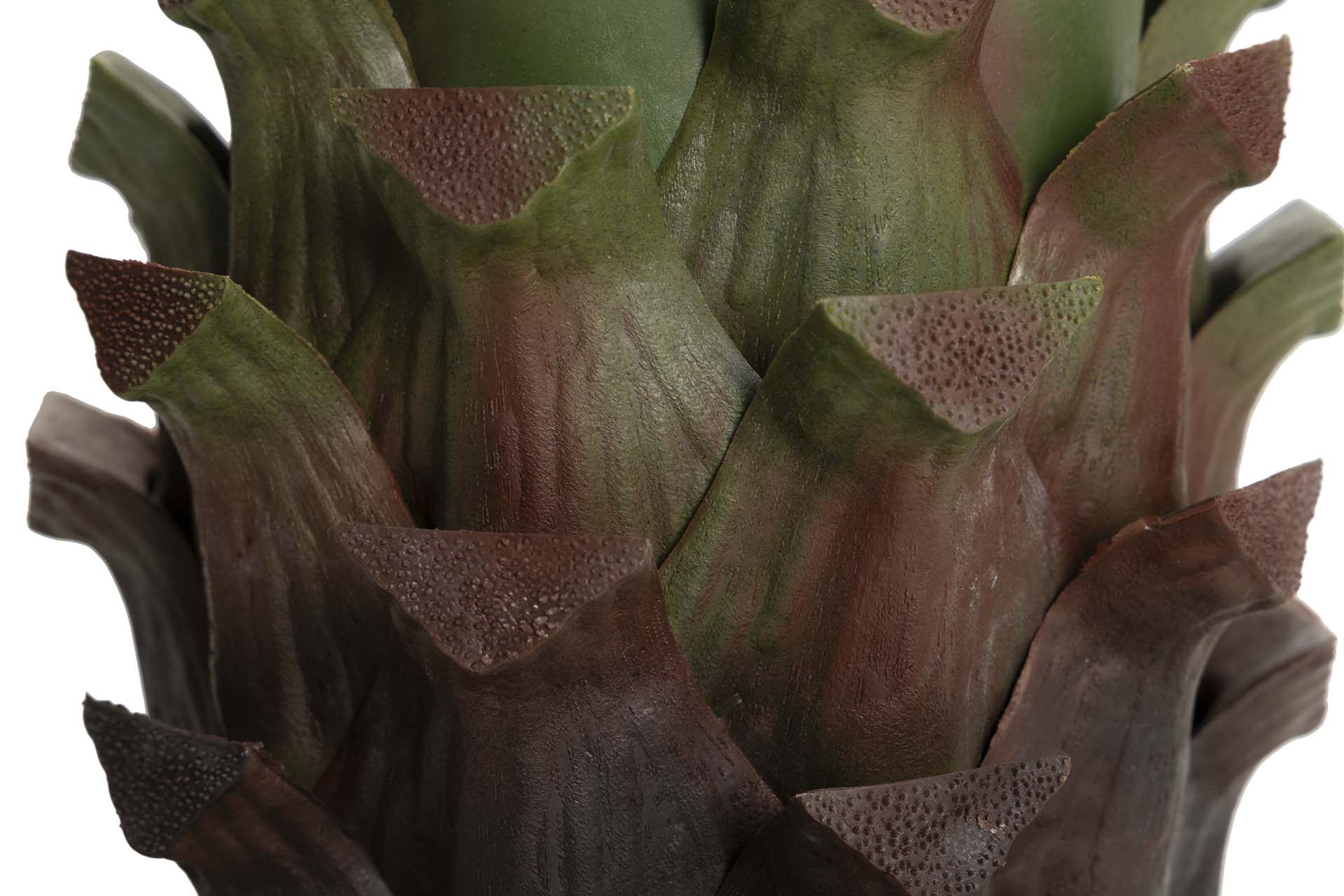 PLANTA AGAVE ATTENUATA 75x75x82 CM