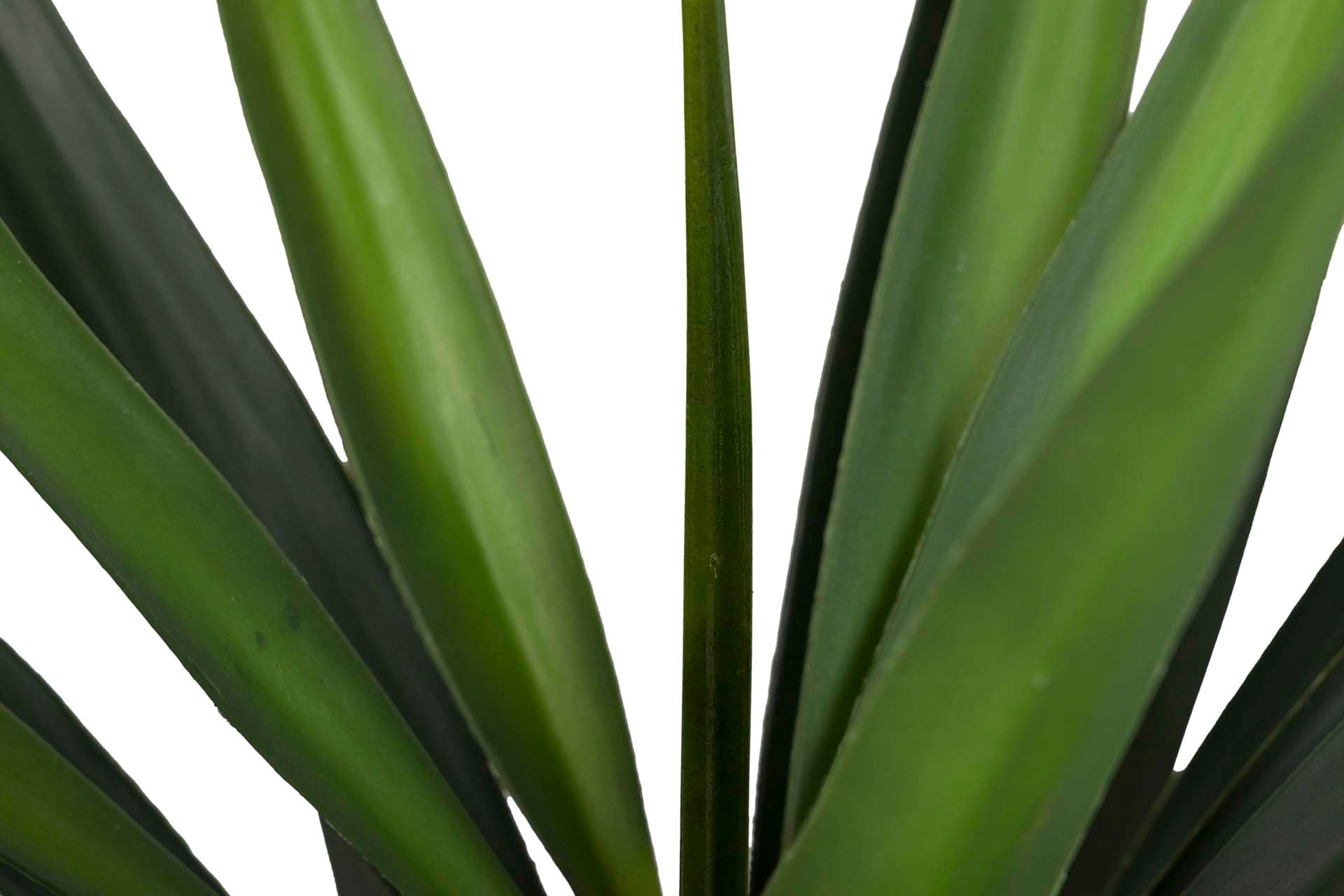 PLANTA DE YUCCA COM VASO 70x70x70 CM