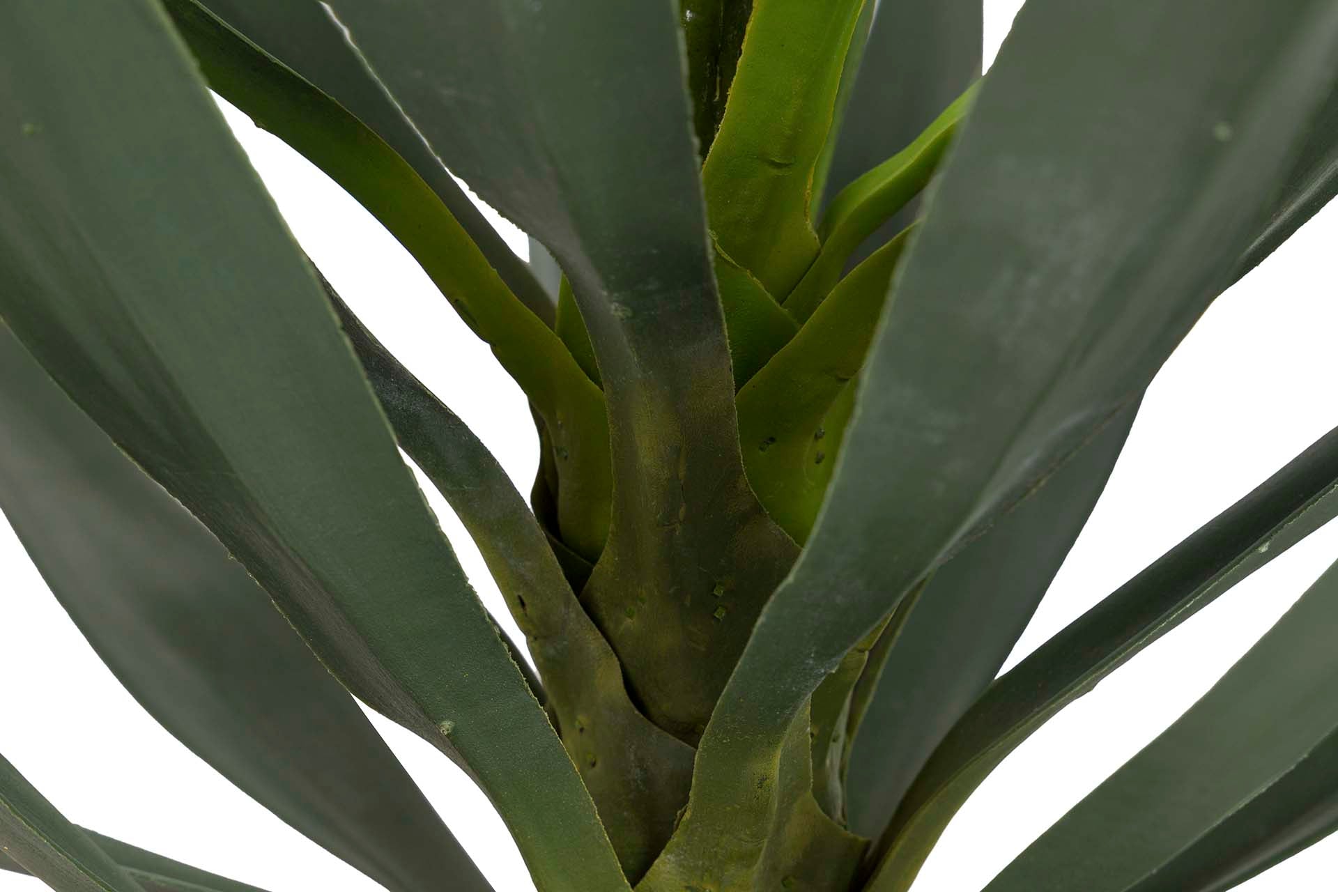 PLANTA YUCCA CON MACETA 70x70x70 CM