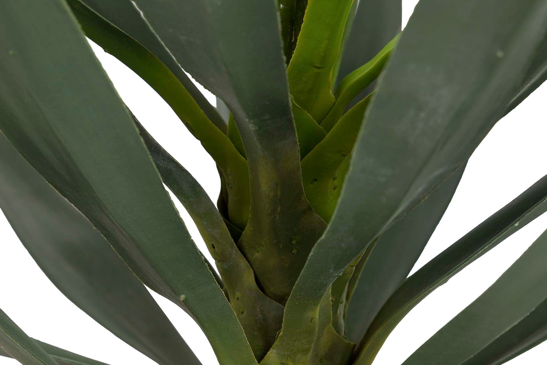 PLANTA DE YUCCA COM VASO 70x70x70 CM