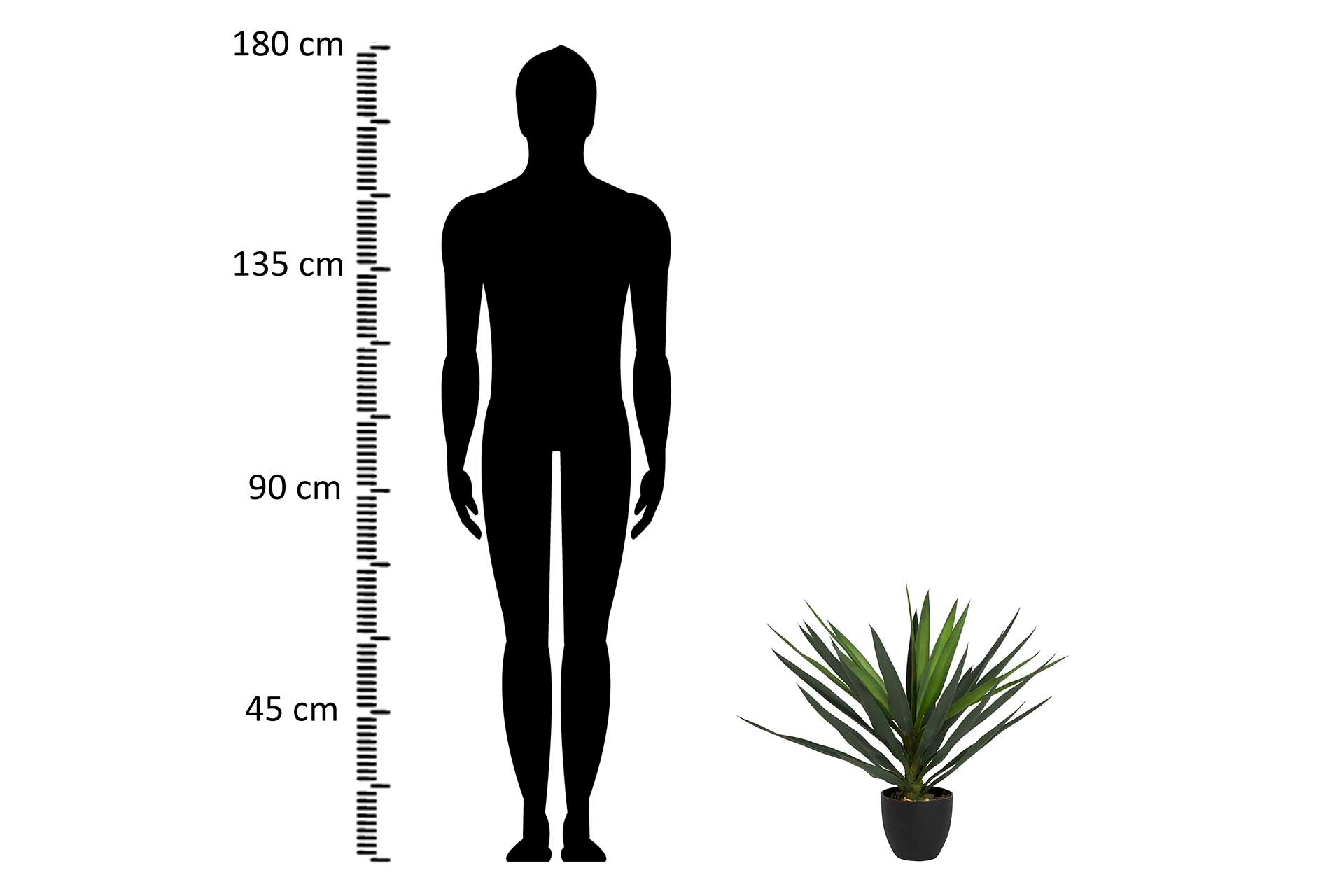PLANTA DE YUCCA COM VASO 70x70x70 CM