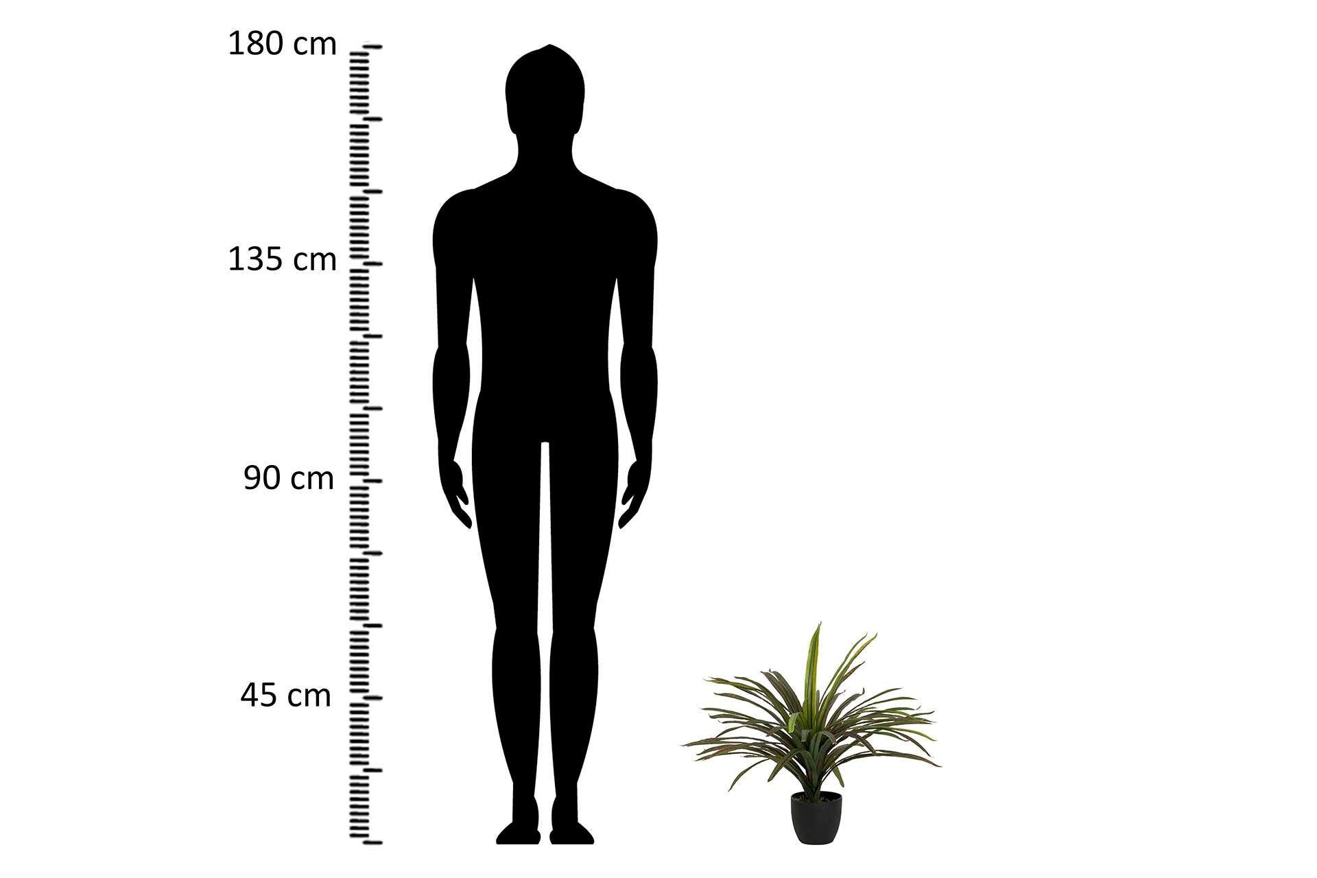 PLANTA YUCCA CON MACETA 58x58x58 CM