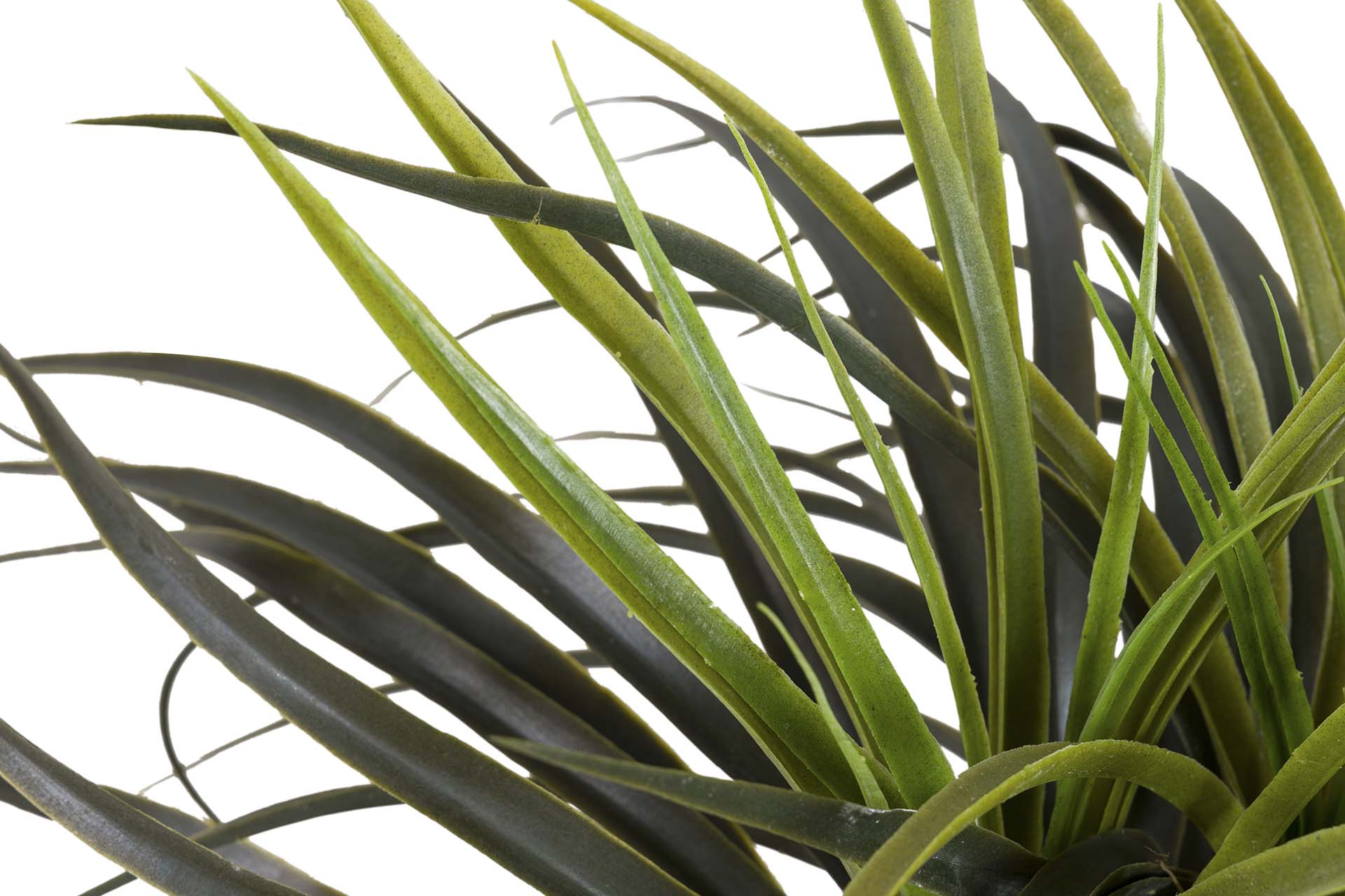 PLANTA DE YUCCA COM VASO 58x58x58 CM