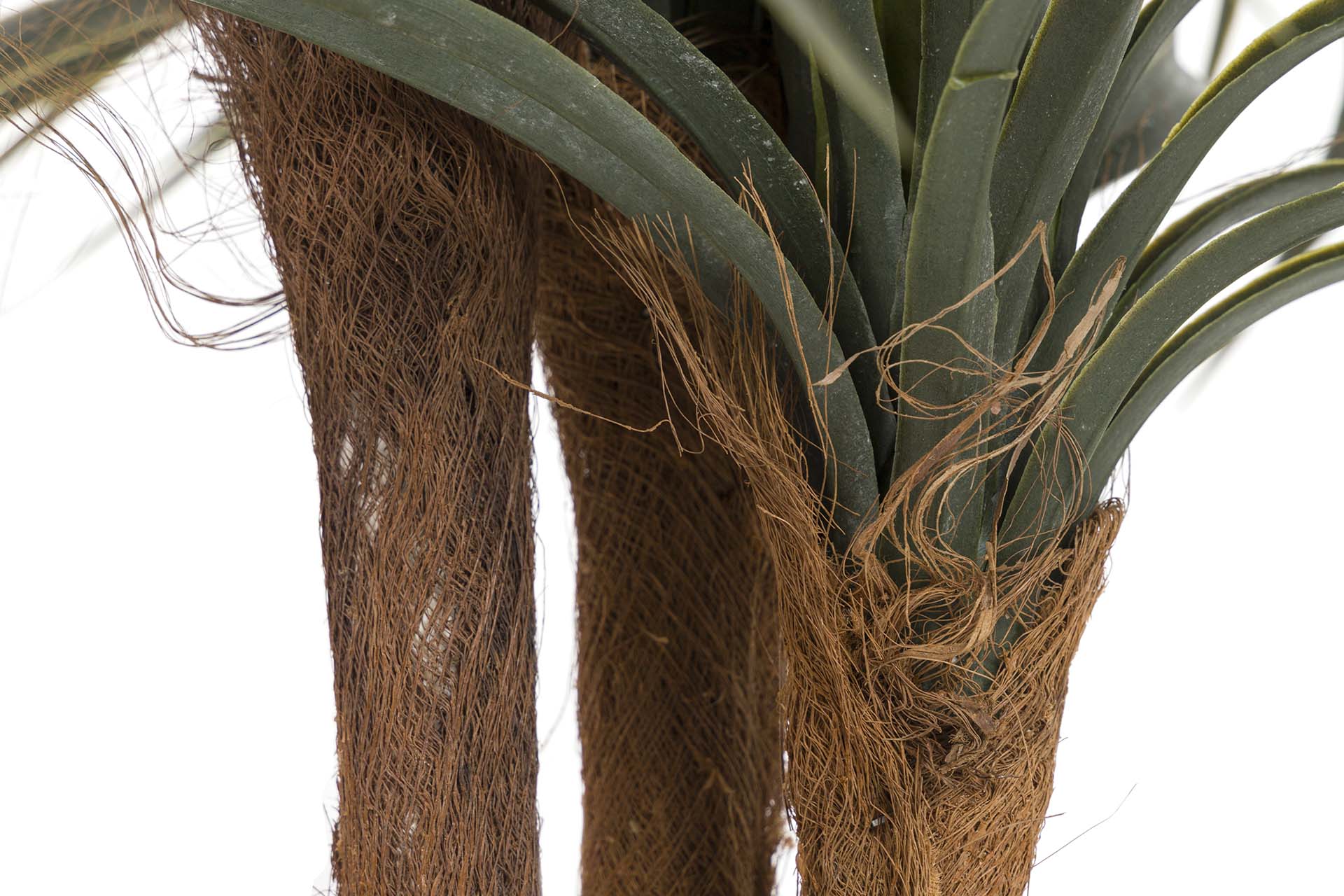 PLANTA YUCCA CON MACETA 58x58x58 CM