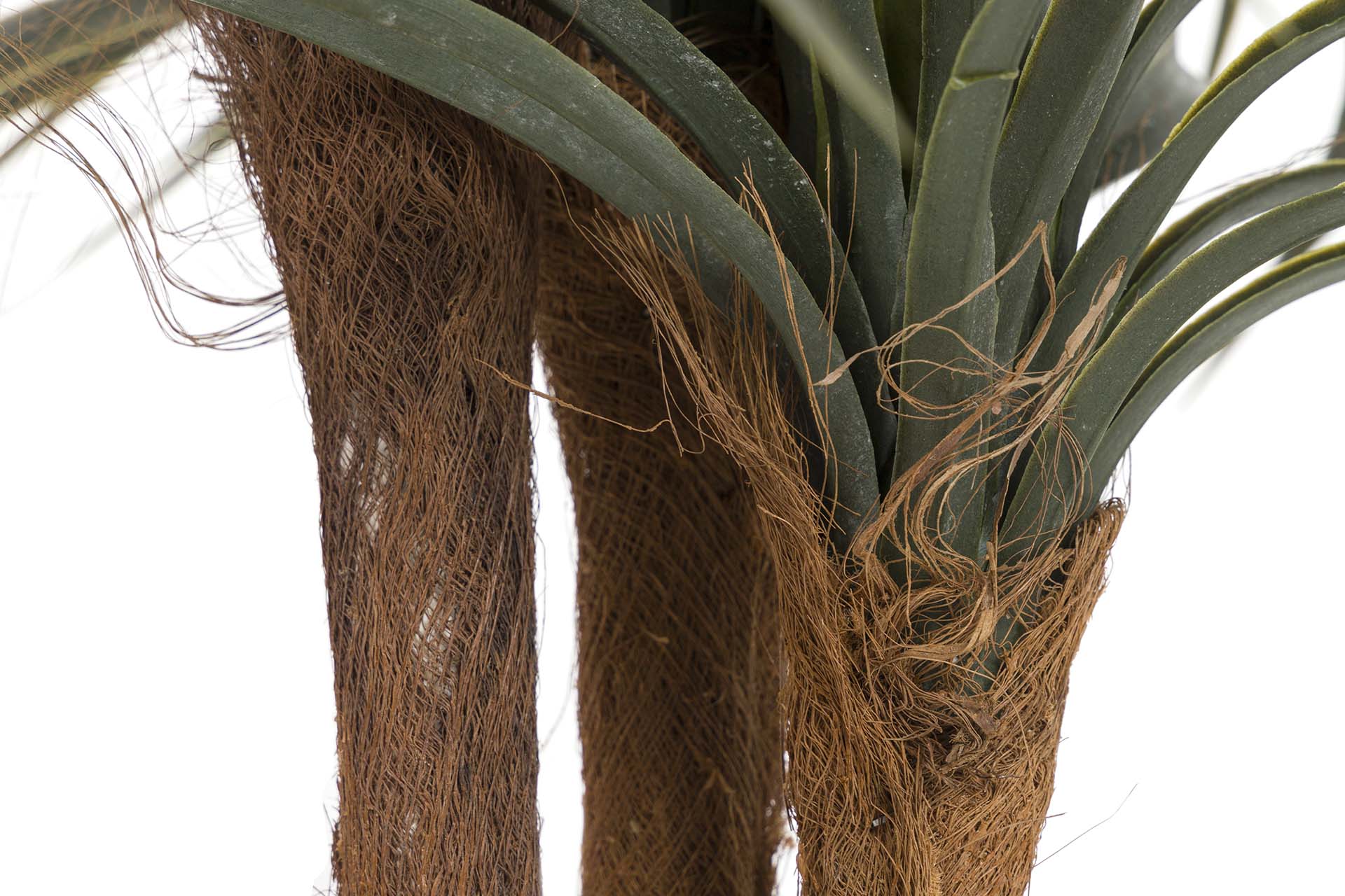 PLANTA DE YUCCA COM VASO 58x58x58 CM