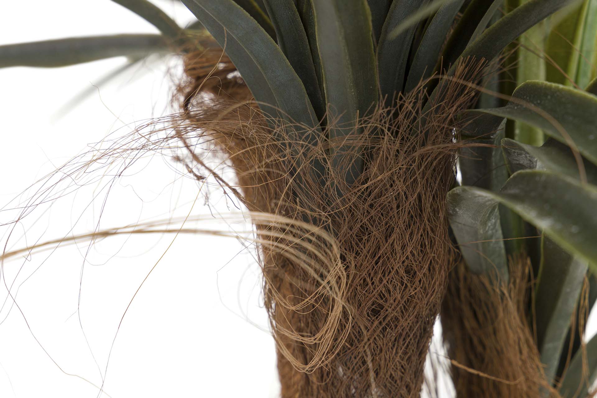PLANTA DE YUCCA COM VASO 58x58x58 CM