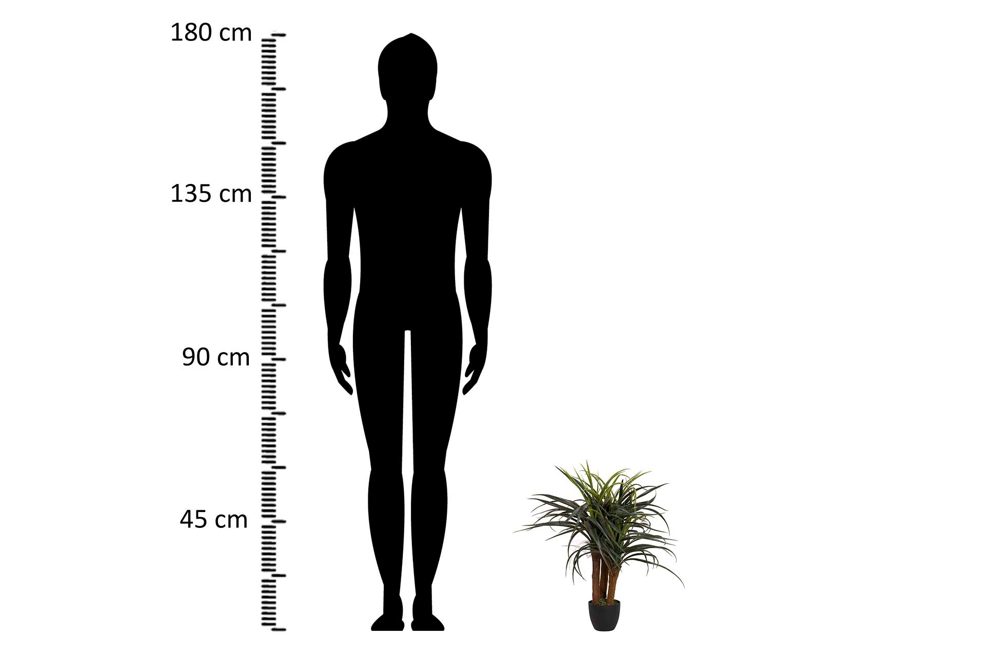 PLANTA DE YUCCA COM VASO 58x58x58 CM