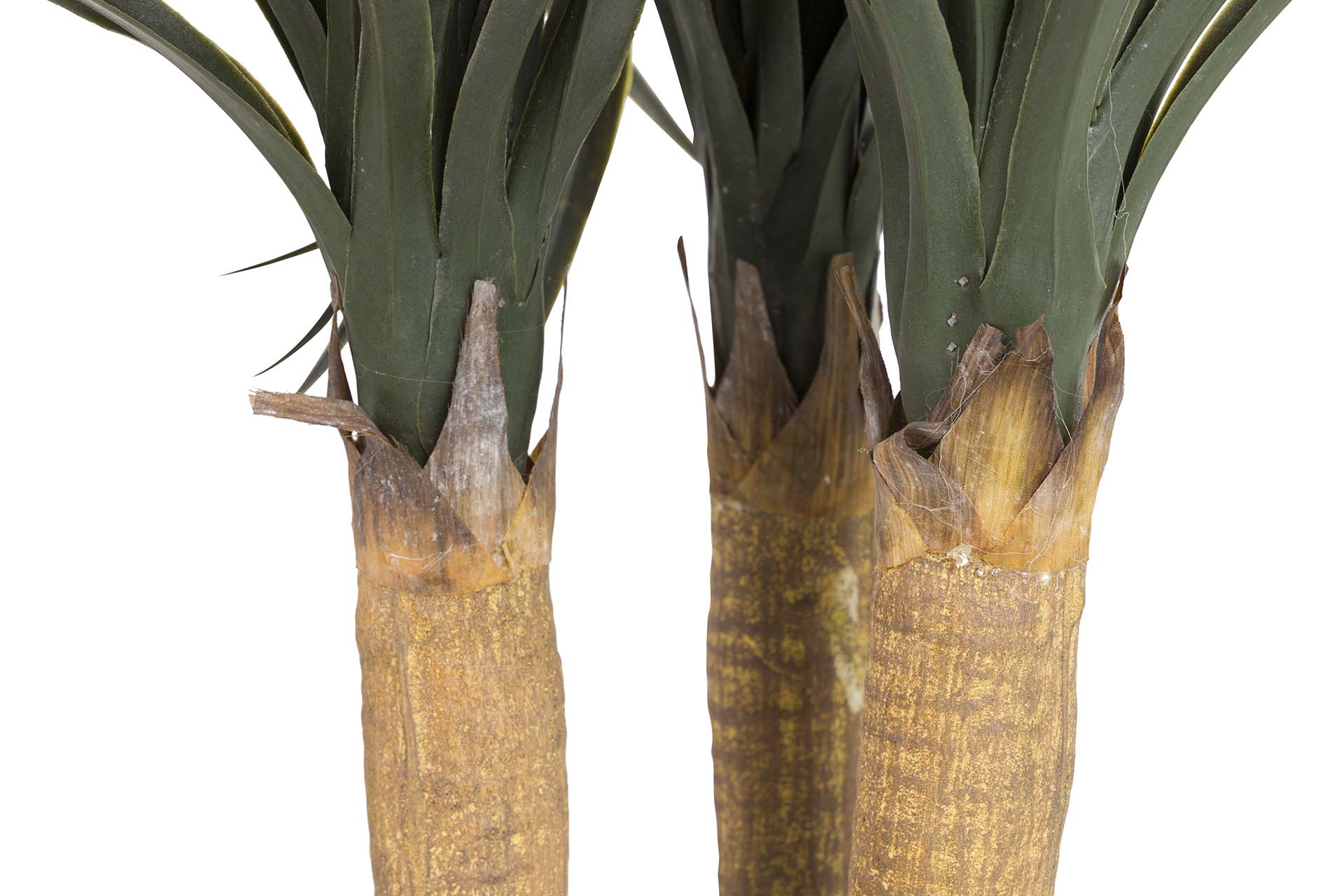 PLANTA NOLINA RECURVATA COM VASO 60x60x75 CM