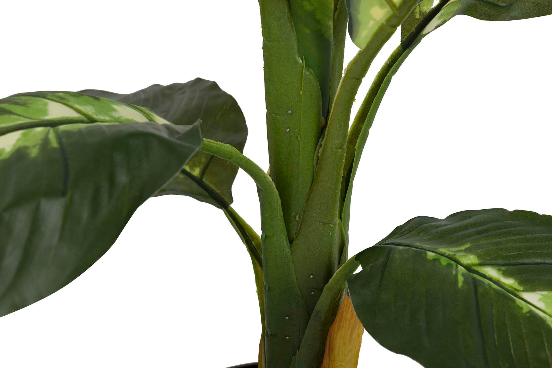 DOTIED DIEFFENBACHIA PLANT WITH POT 60x60x90 CM
