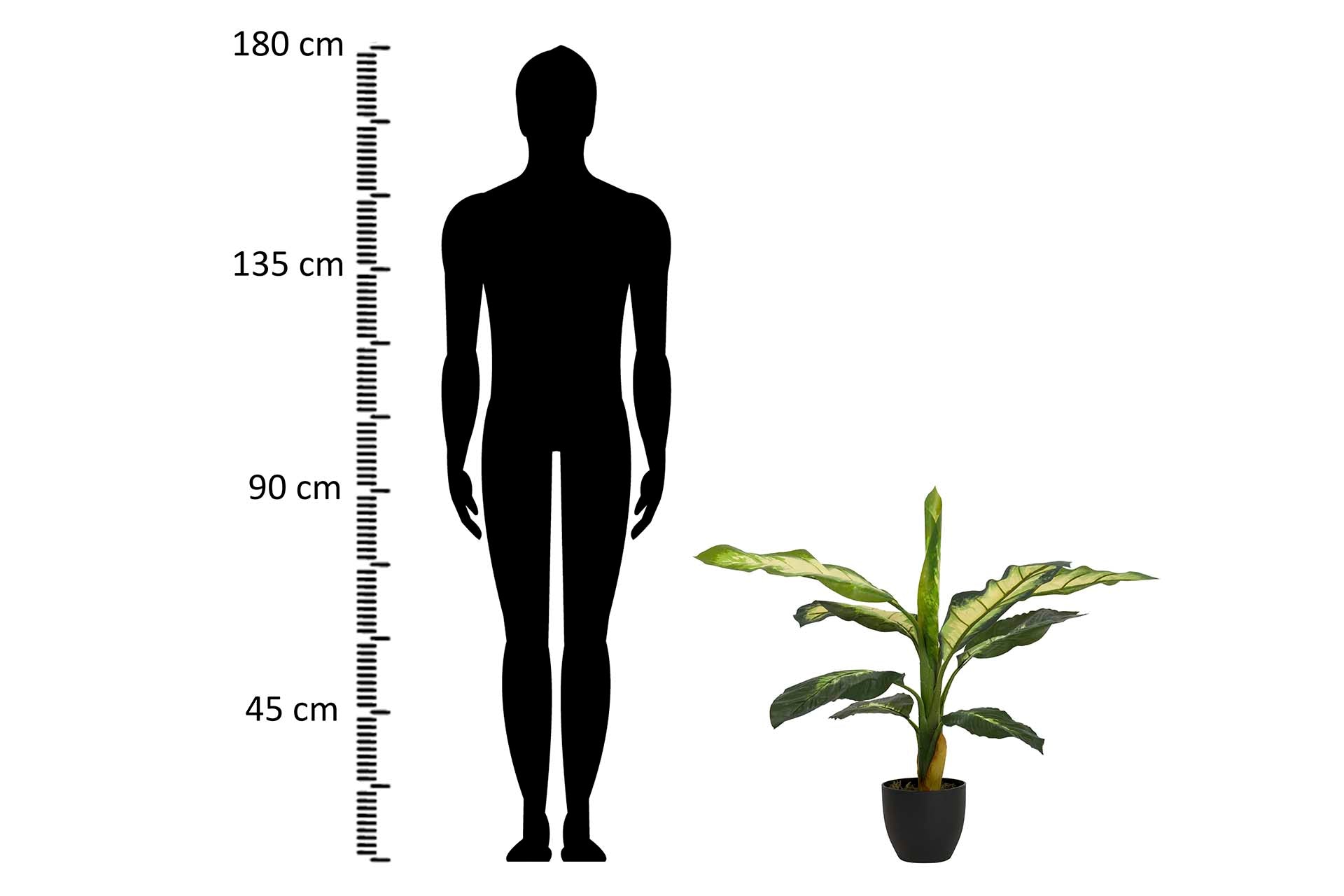 DOTIED DIEFFENBACHIA PLANT WITH POT 60x60x90 CM
