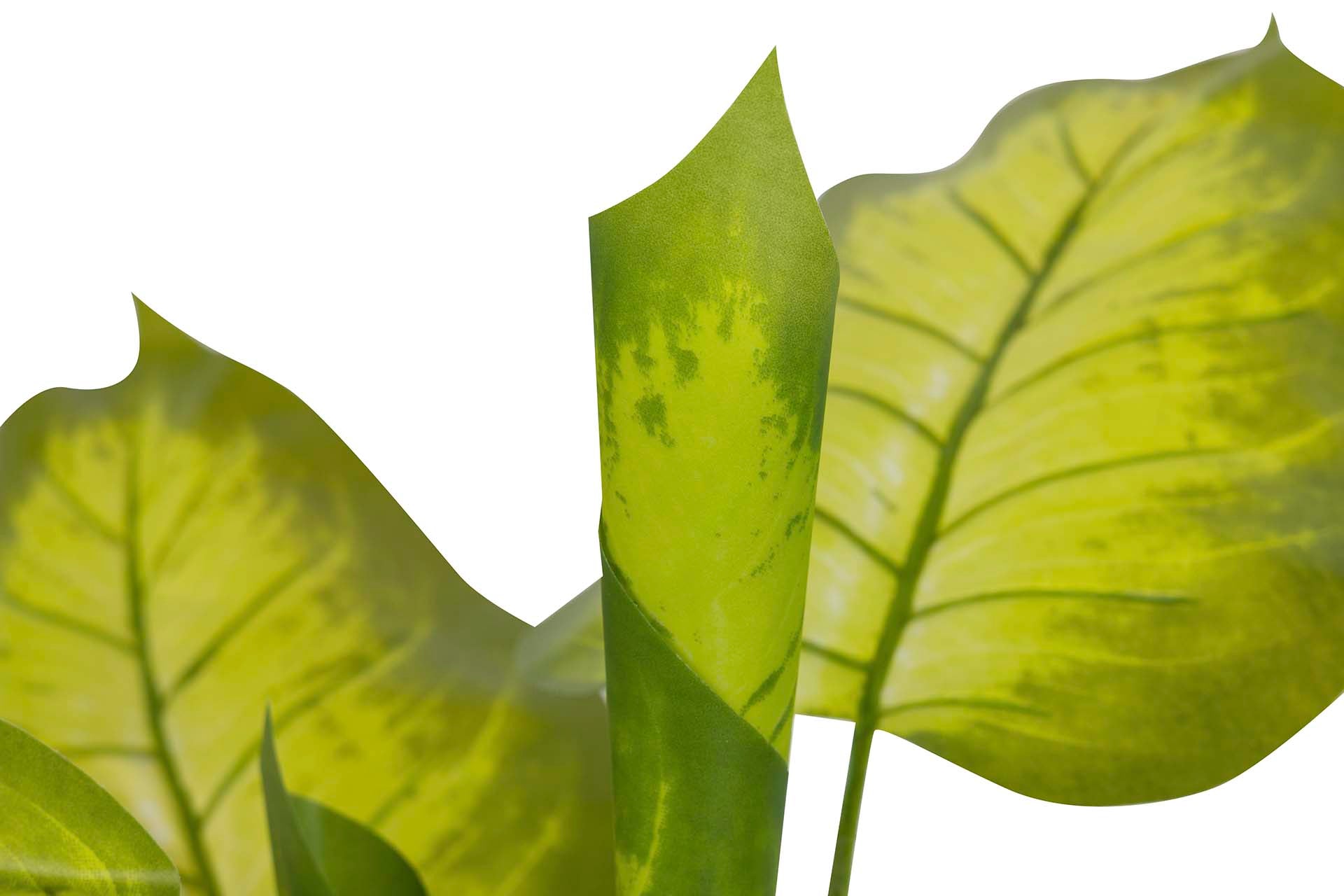 PLANTA DIEFFENBACHIA CON MACETA 60x60x100 CM