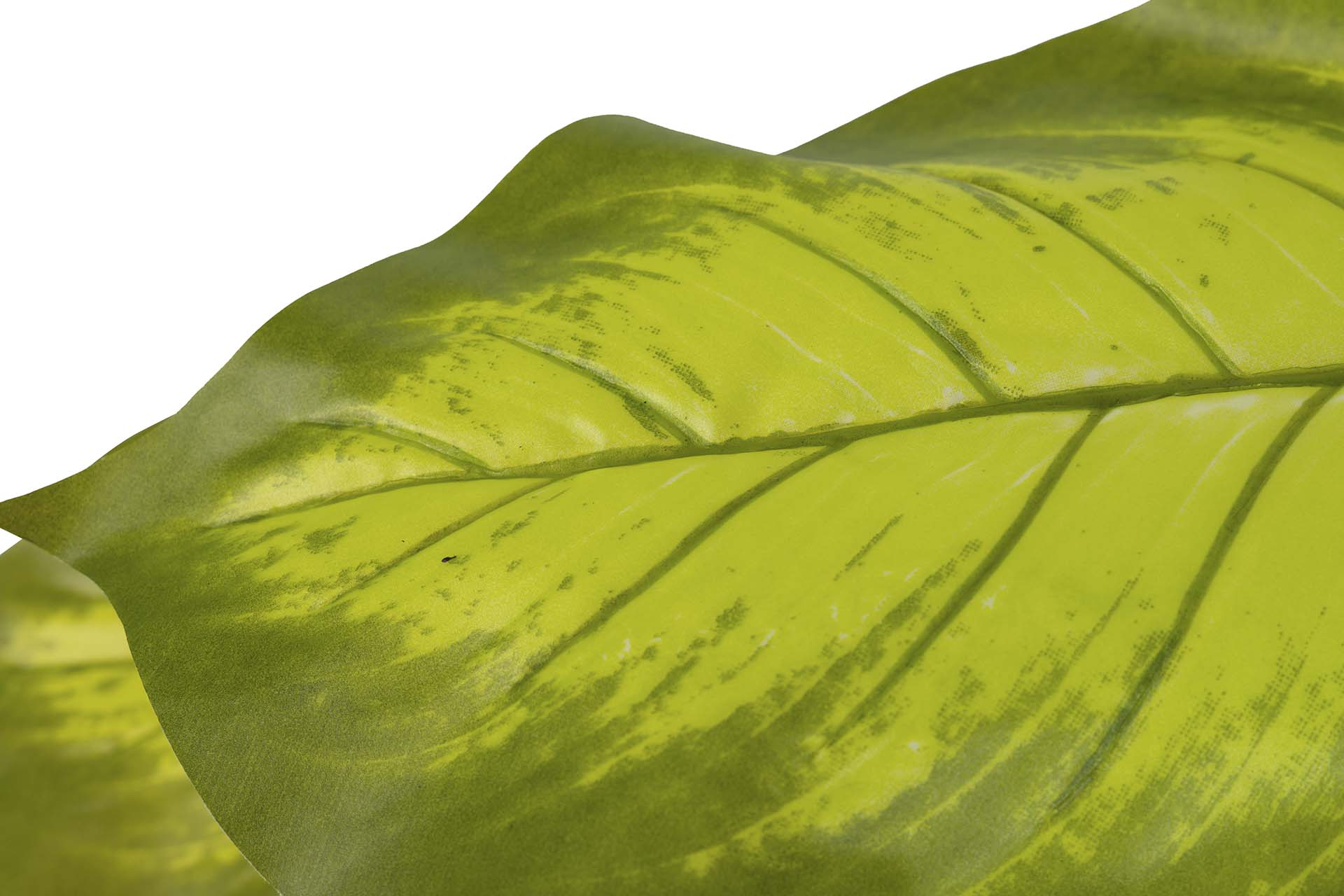 PLANTA DIEFFENBACHIA CON MACETA 60x60x100 CM