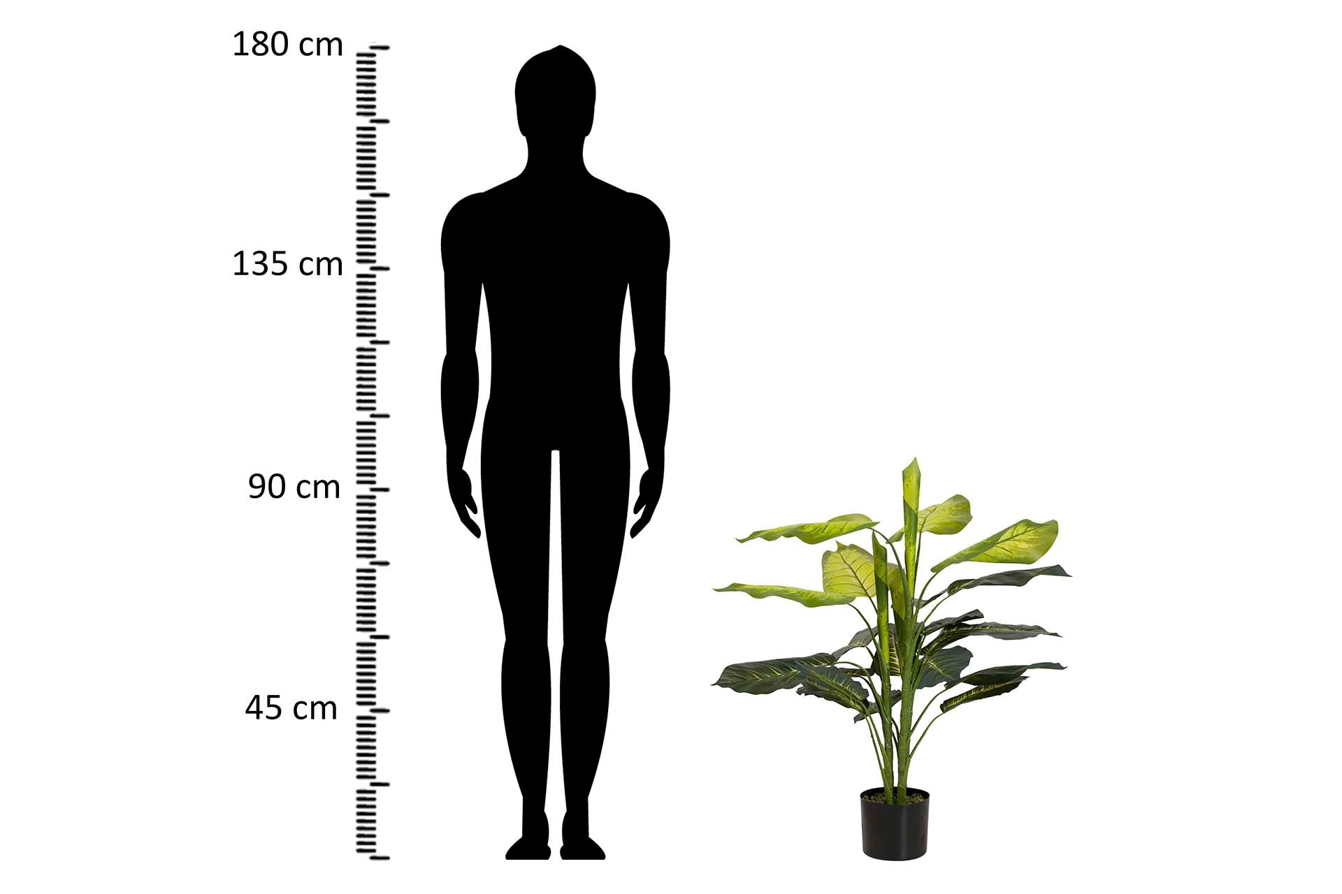 PLANTA DIEFFENBACHIA CON MACETA 60x60x100 CM