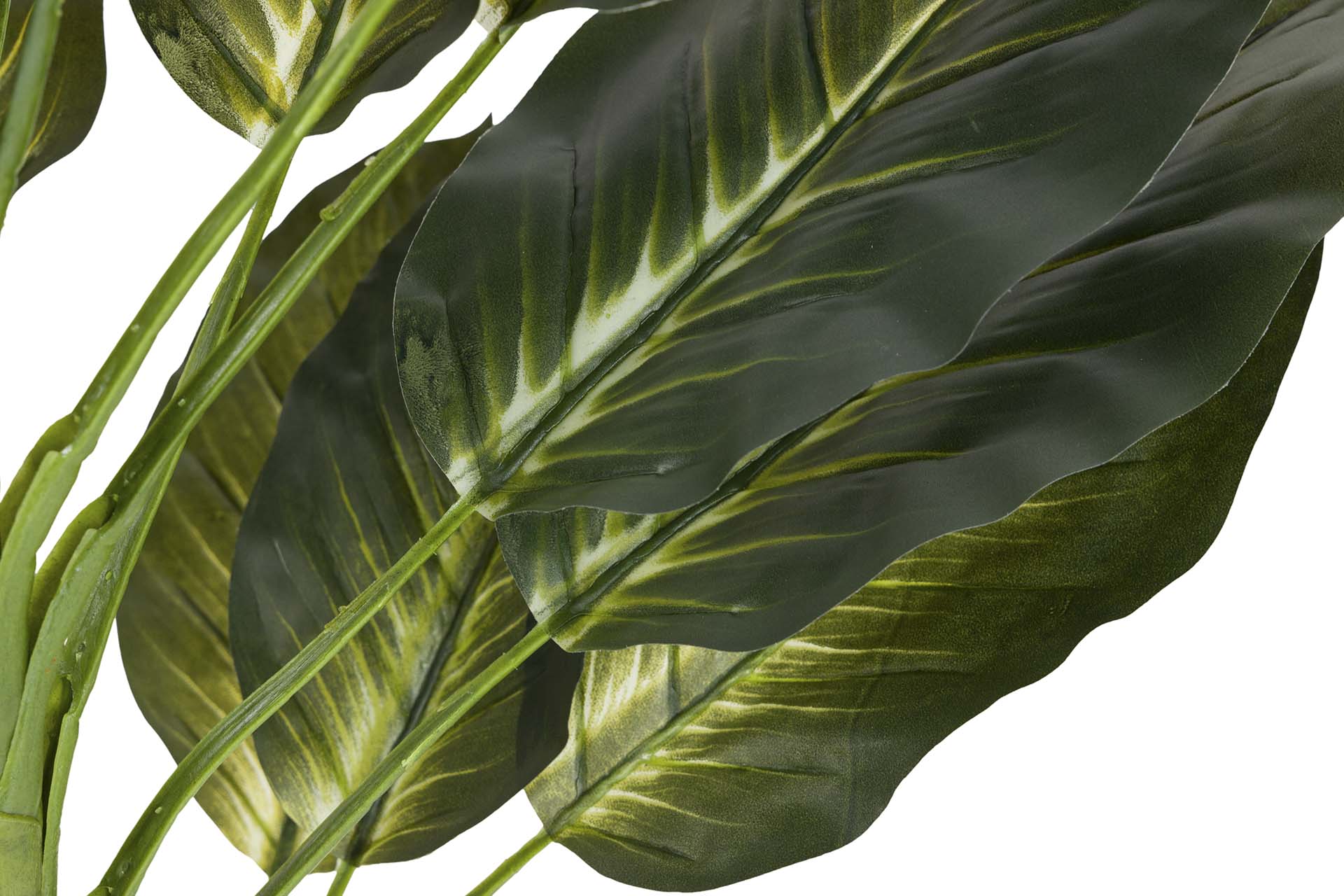 PLANTA DIEFFENBACHIA CON MACETA 65x65x113 CM