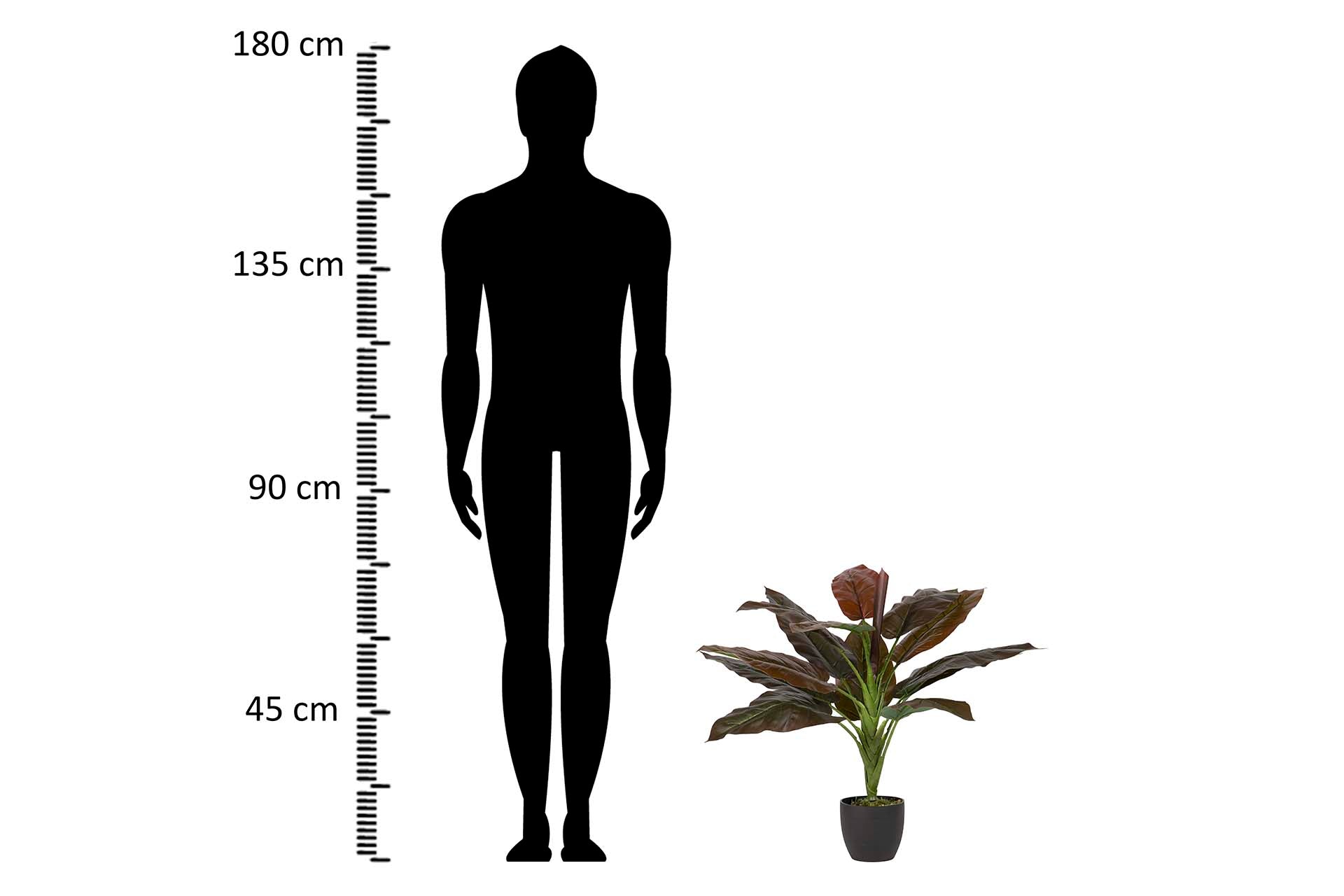 PLANTA CORDYLINE CON MACETA 55x55x75 CM