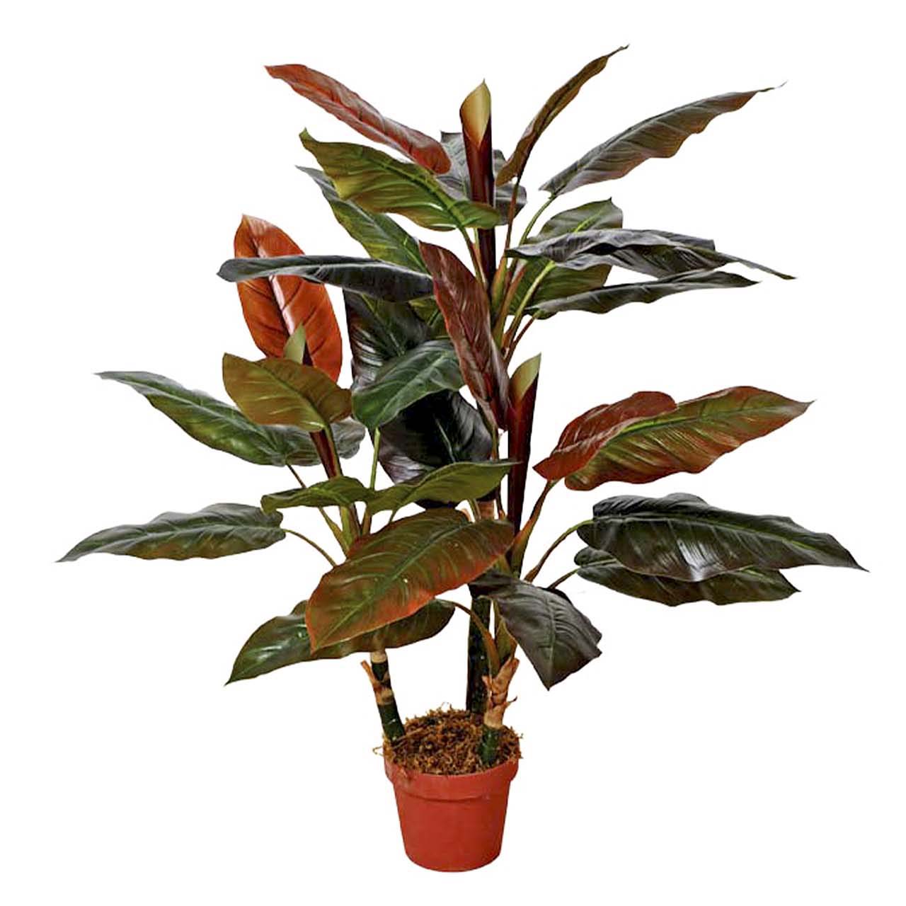 PLANTA CORDYLINE CON MACETA 80x80x110 CM