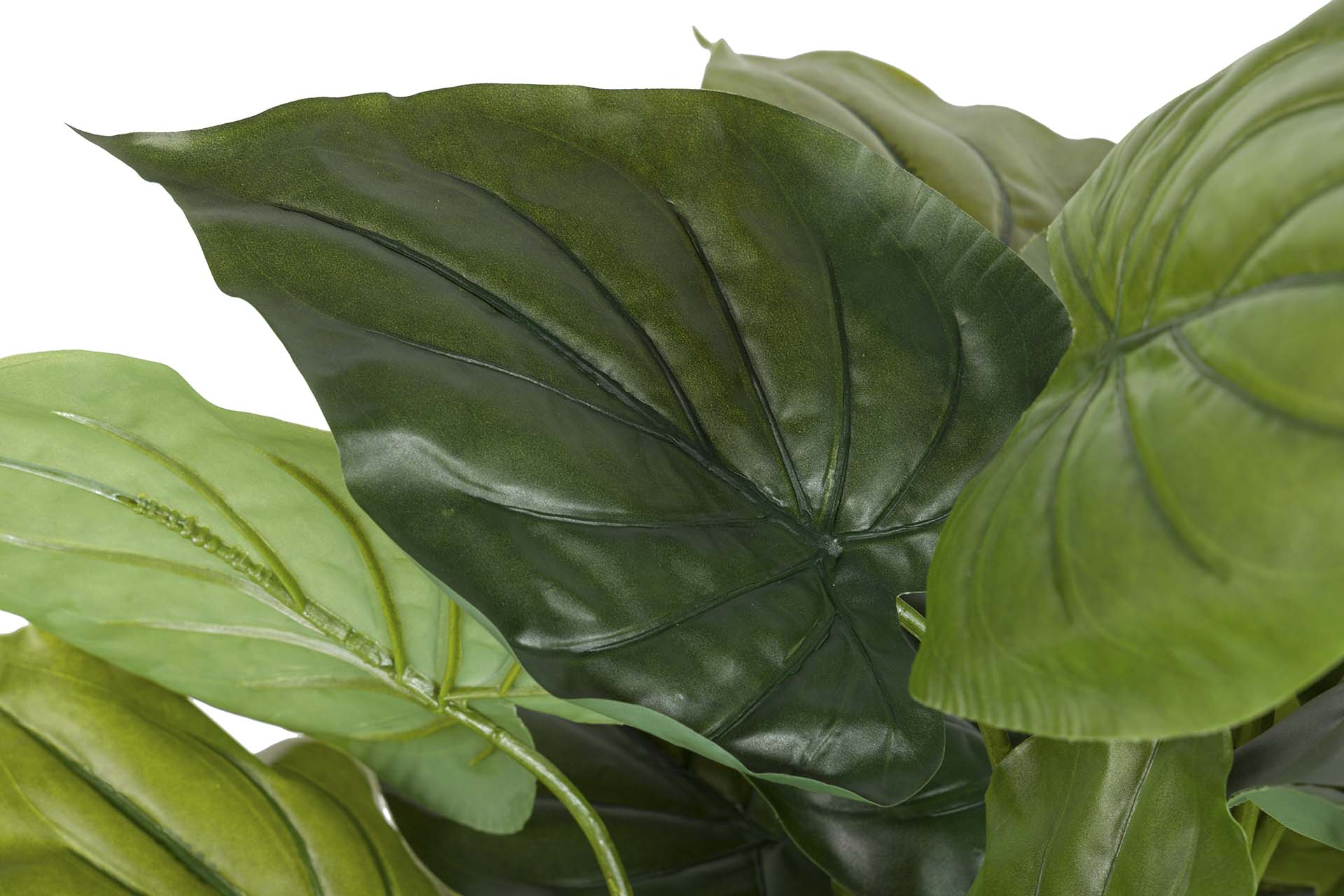 PLANTA TARO CON MACETA 55x55x125 CM