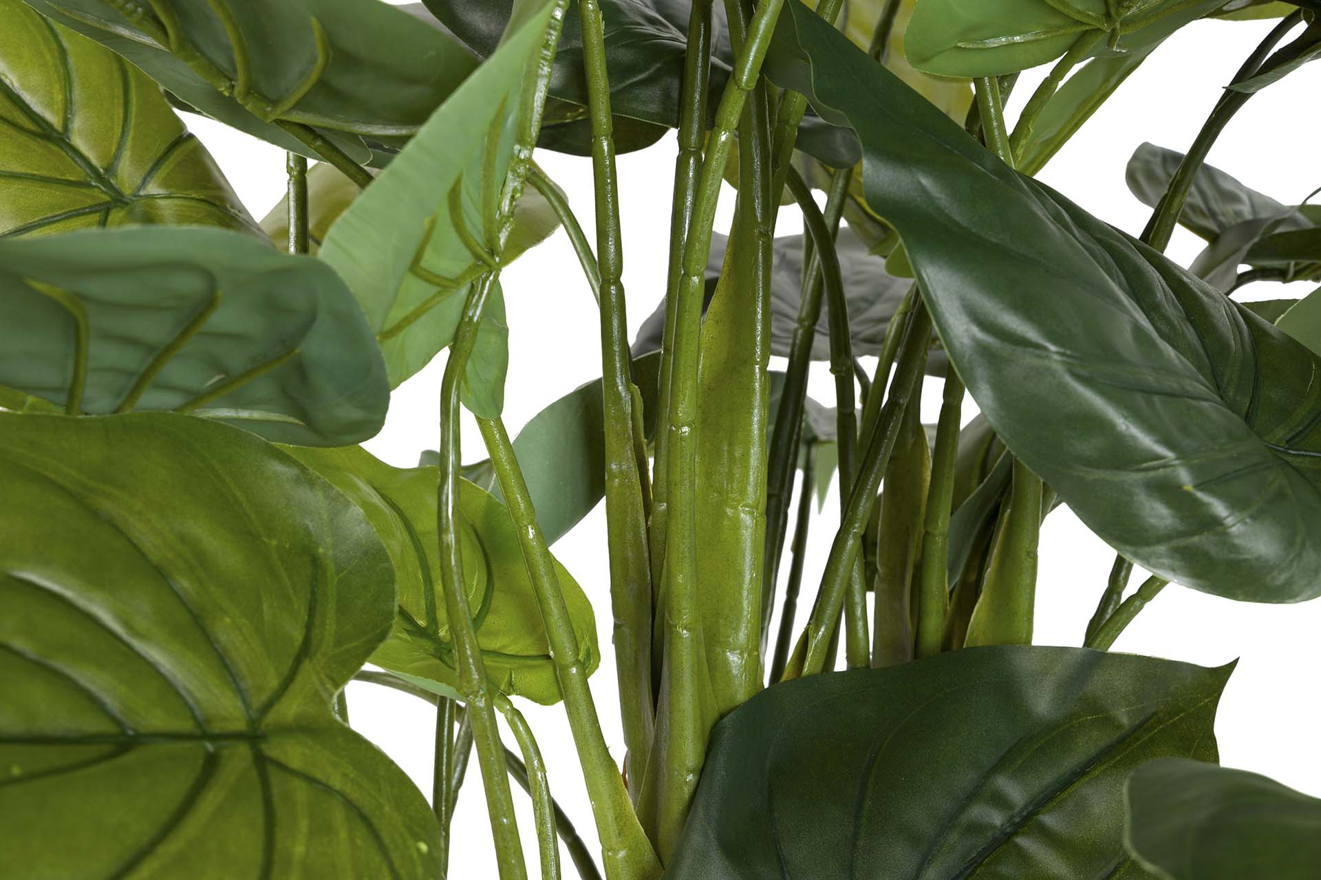 PLANTA TARO CON MACETA 55x55x125 CM