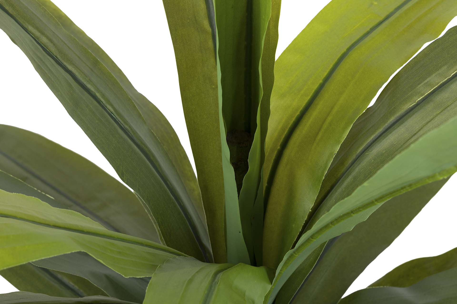 PLANTA DRACAENA FRAGRANS CON MACETA 130x40x21 CM