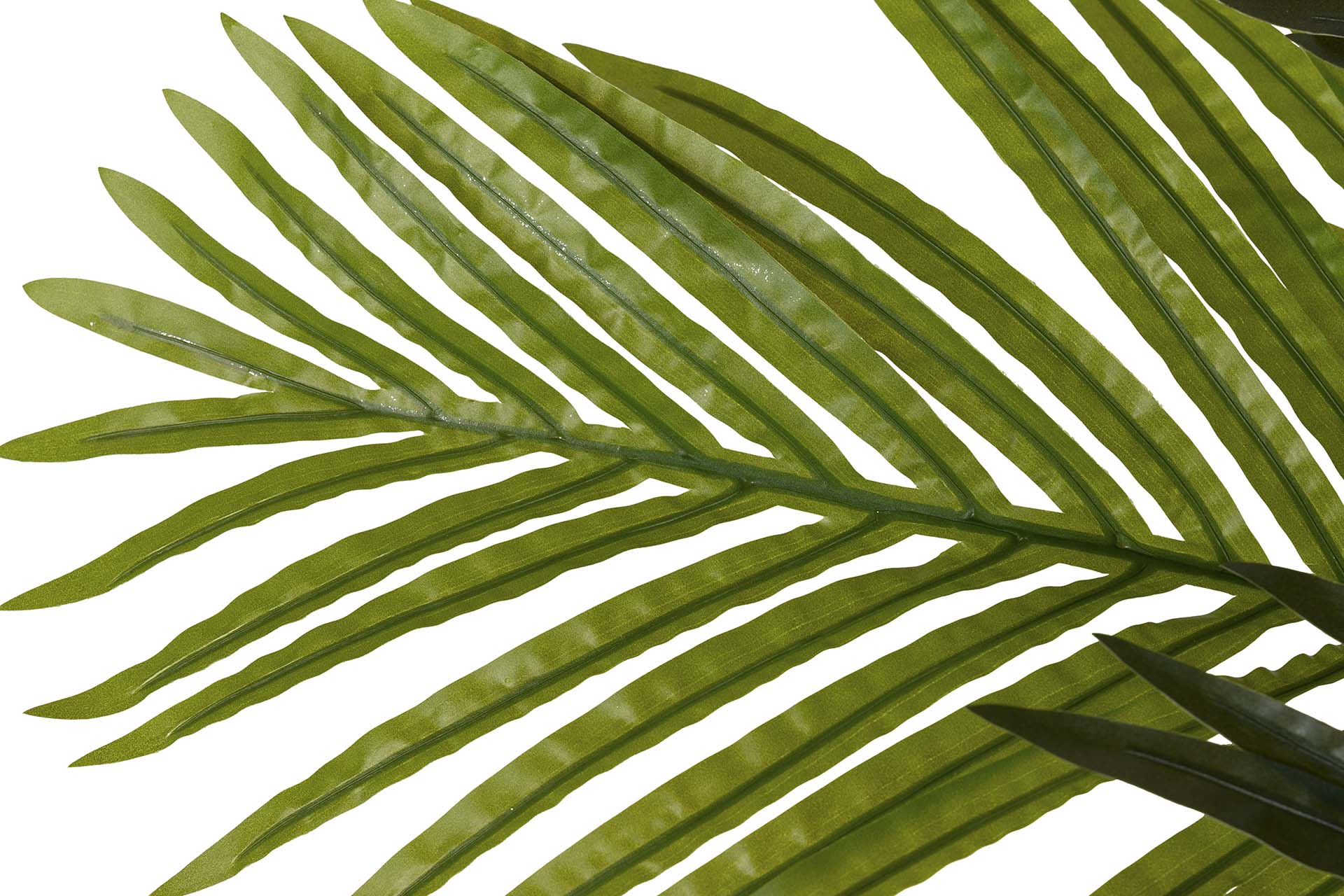 PLANTA PALMERA CON MACETA 75x75x150 CM