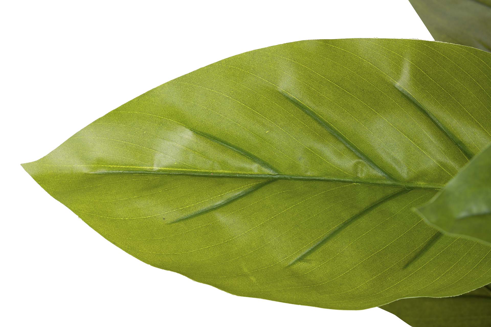 PLANTA AUREUM COM VASO 65x65x88 CM