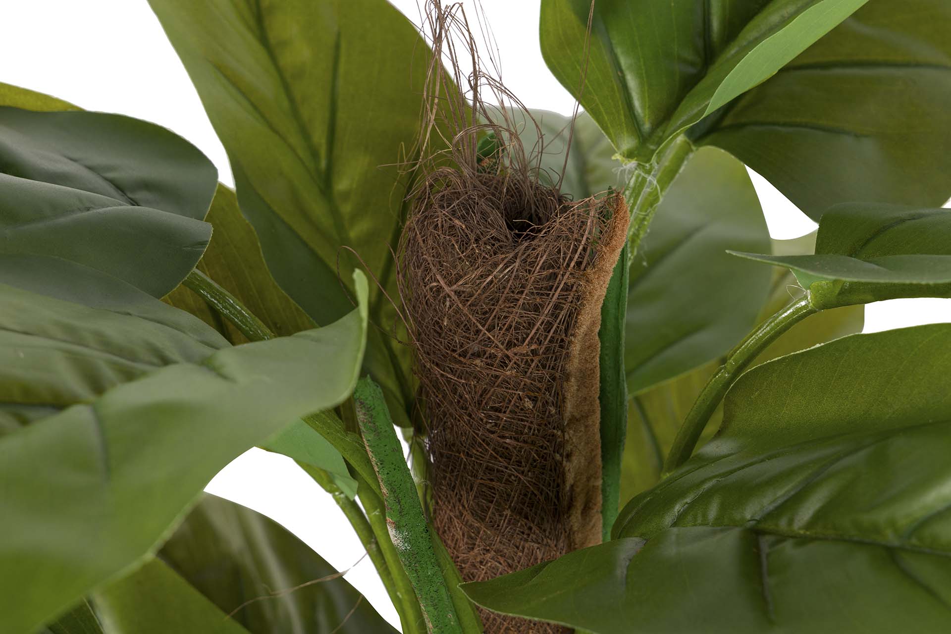 PLANTA AUREUM CON MACETA 65x65x125 CM