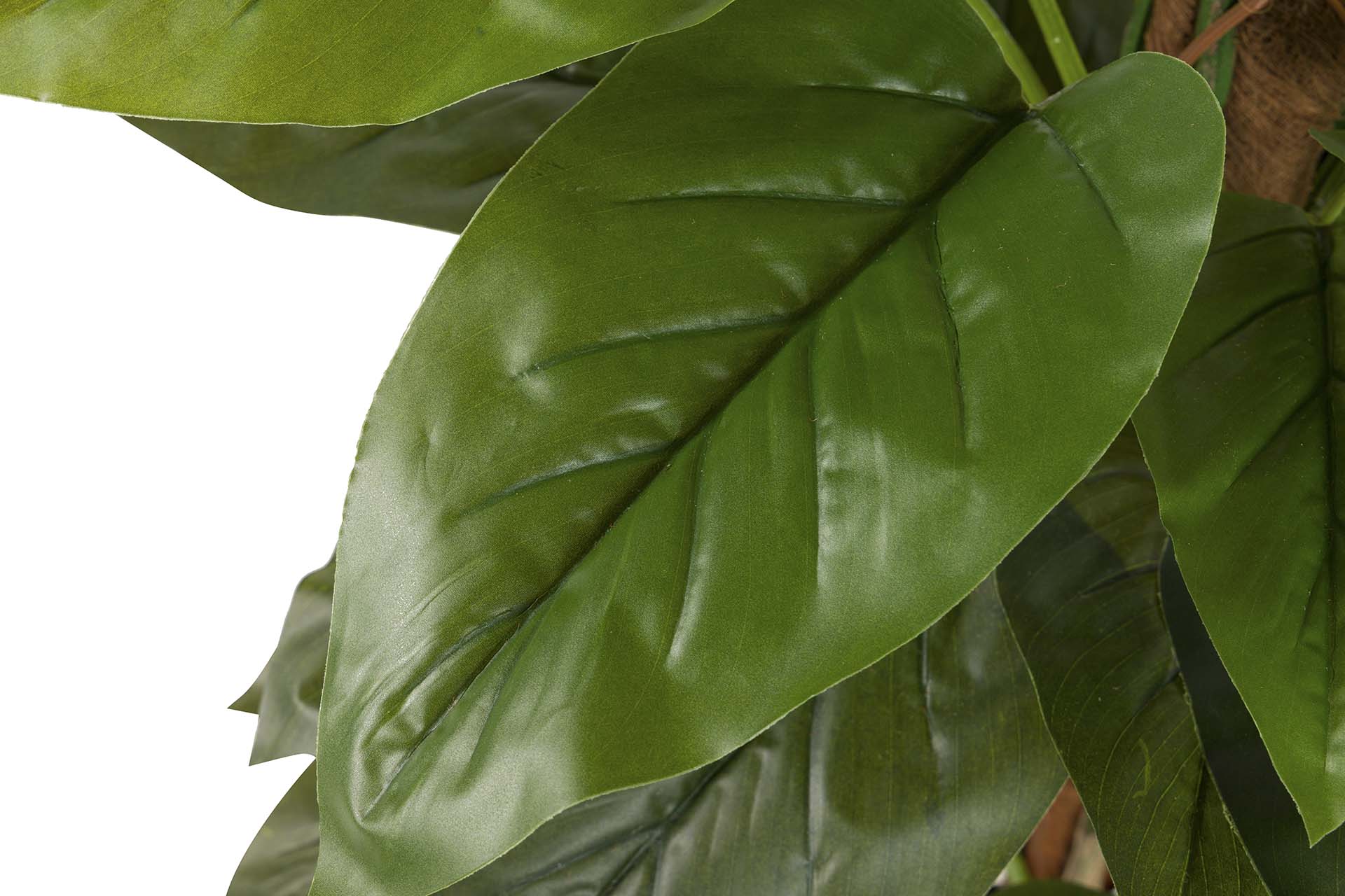 PLANTA AUREUM CON MACETA 65x65x125 CM