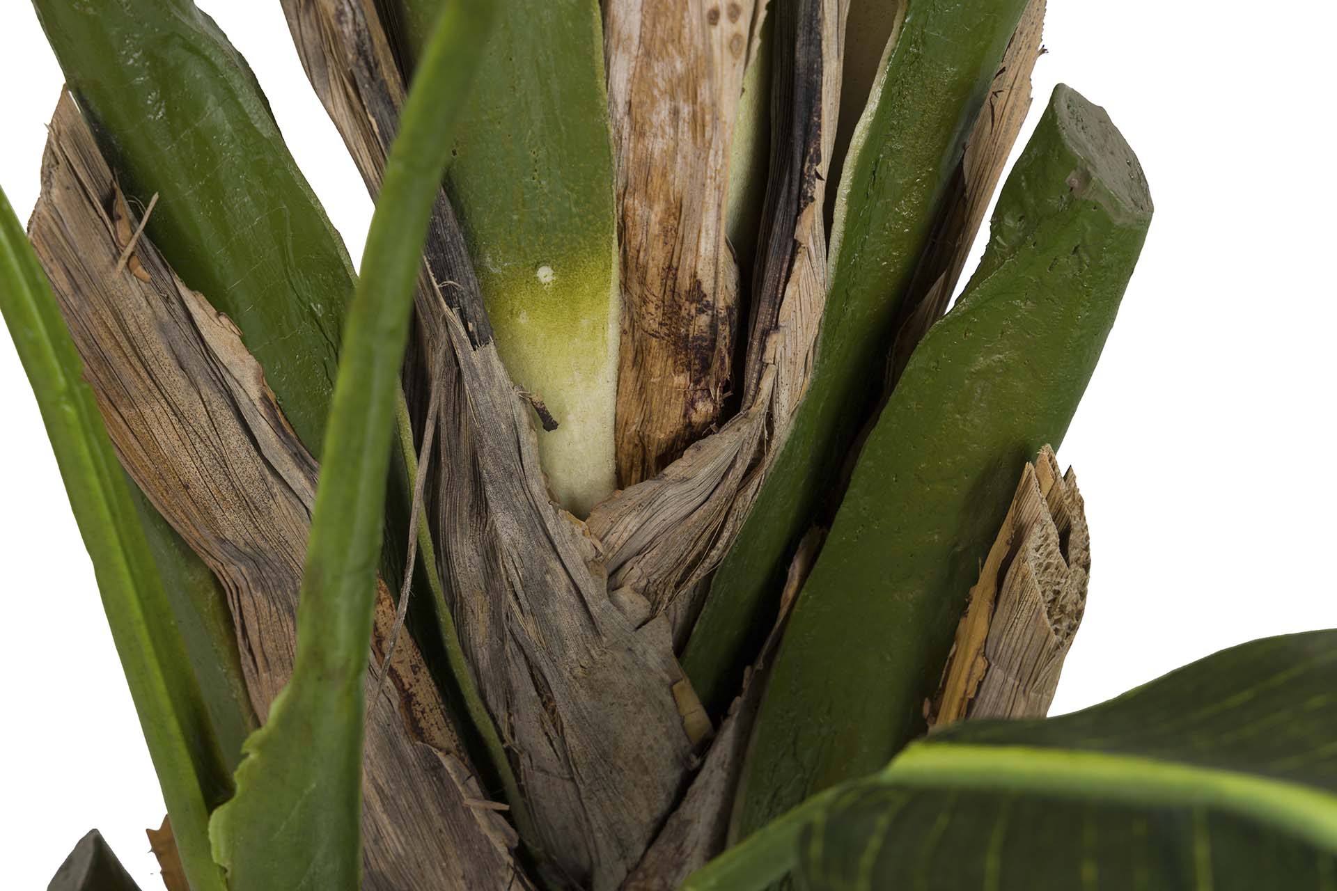 PLANTA PALMA DEL VIAJERO CON MACETA 90x90x250 CM