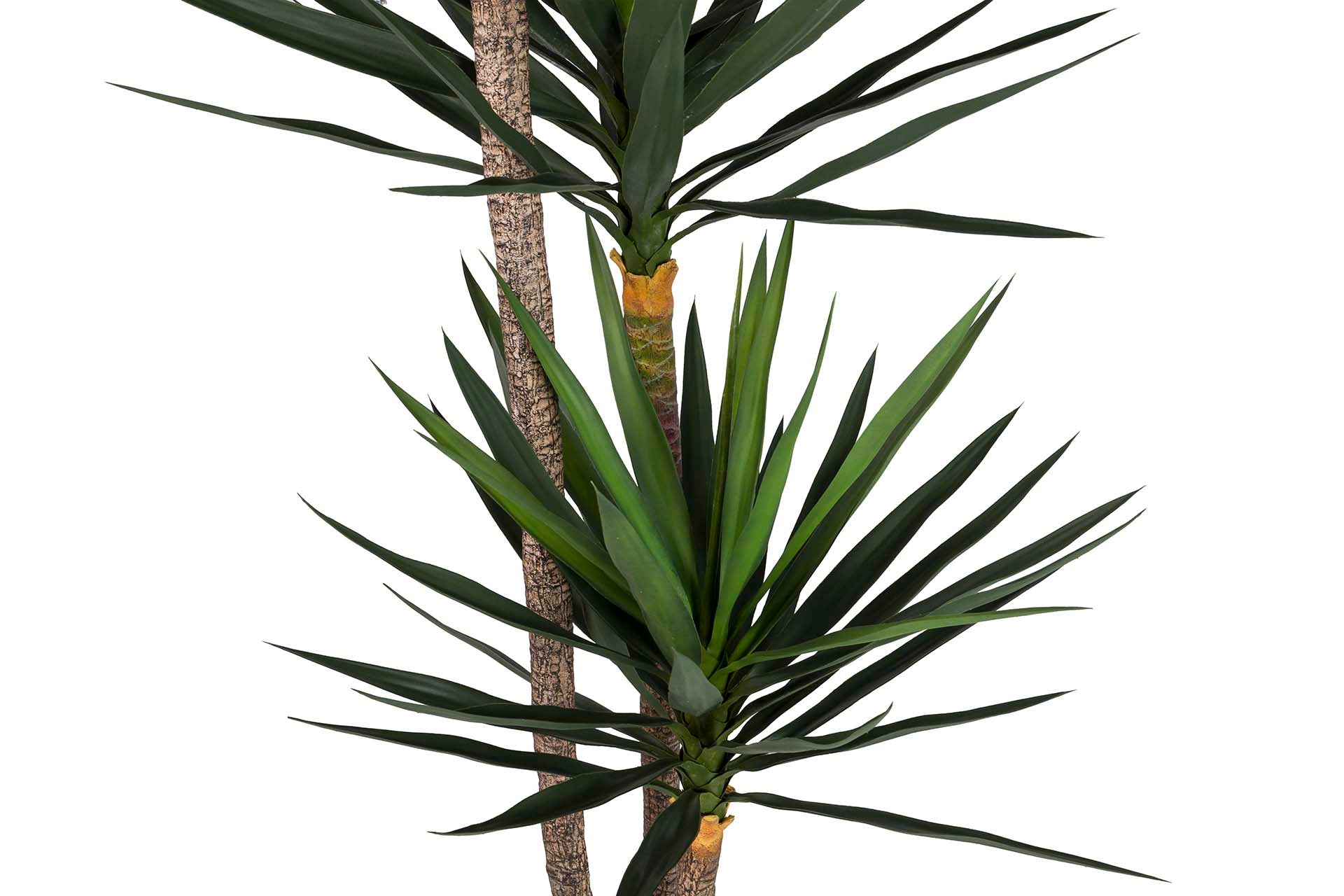 PLANTA YUCCA CON MACETA 70x70x250 CM