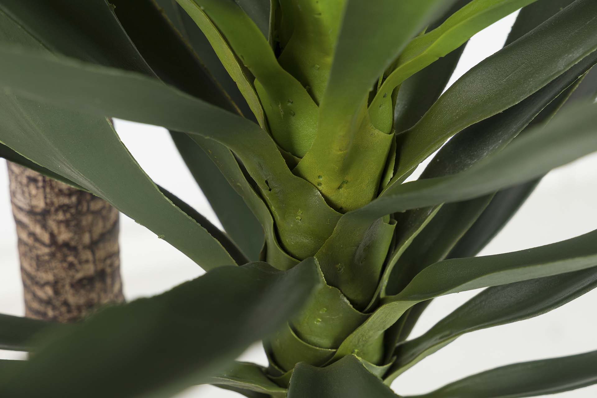 Planta de Yucca com vaso 70x70x250 cm
