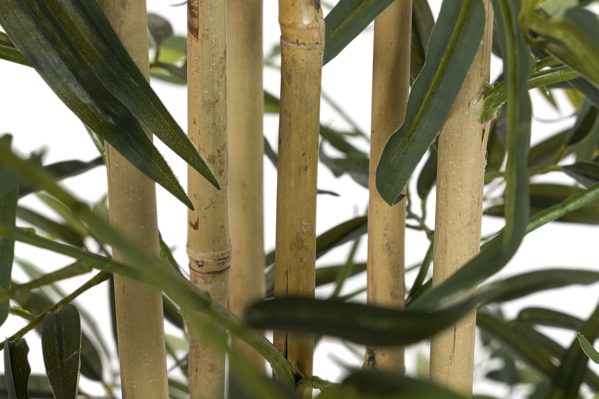 PLANTA BAMBOO CON MACETA 80x80x150 CM