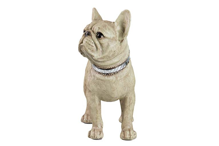 FRENCH BULLDOG RESIN FIGURE 33x16x30 CM