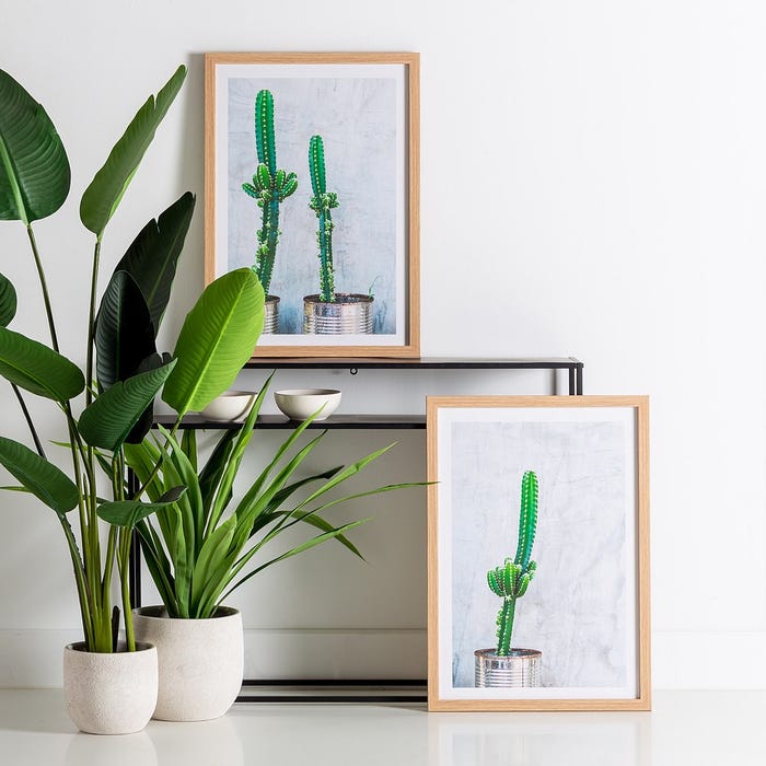 Cuadro Impresión Cactus 2/M Decoración 49 X 2 X 69 Cm