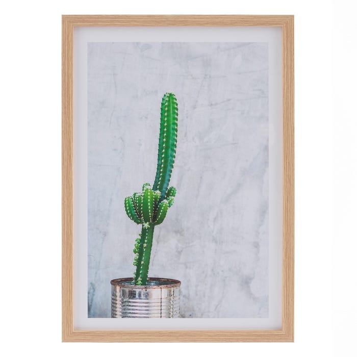 Cuadro Impresión Cactus 2/M Decoración 49 X 2 X 69 Cm
