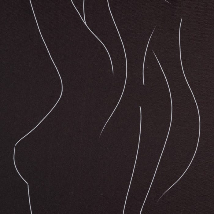 Cuadro Impresión Desnudo 2/M Dm 50 X 1,20 X 50 Cm