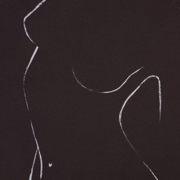 Cuadro Impresión Desnudo 2/M Dm 50 X 1,20 X 50 Cm