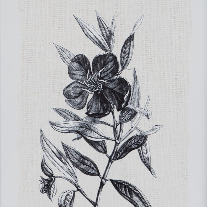Cuadro Impresión Flores 2/M Negro-Blanco 24 X 2 X 34 Cm