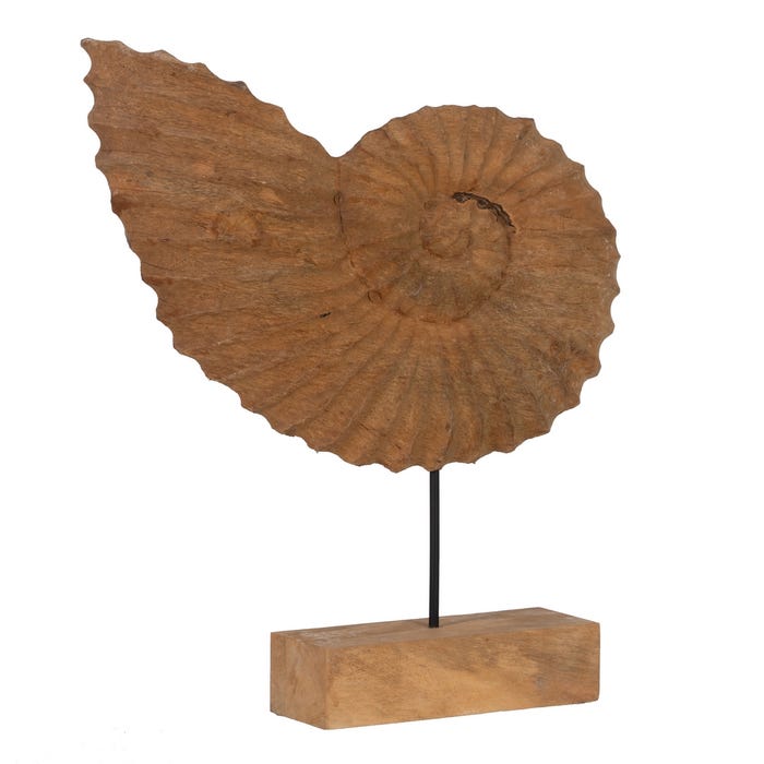 Escultura Caracola Natural 49,50 X 9 X 53,50 Cm