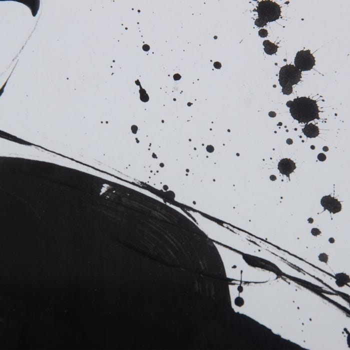 Painting Picture 2/M Black-White 113 X 1.70 X 113 Cm