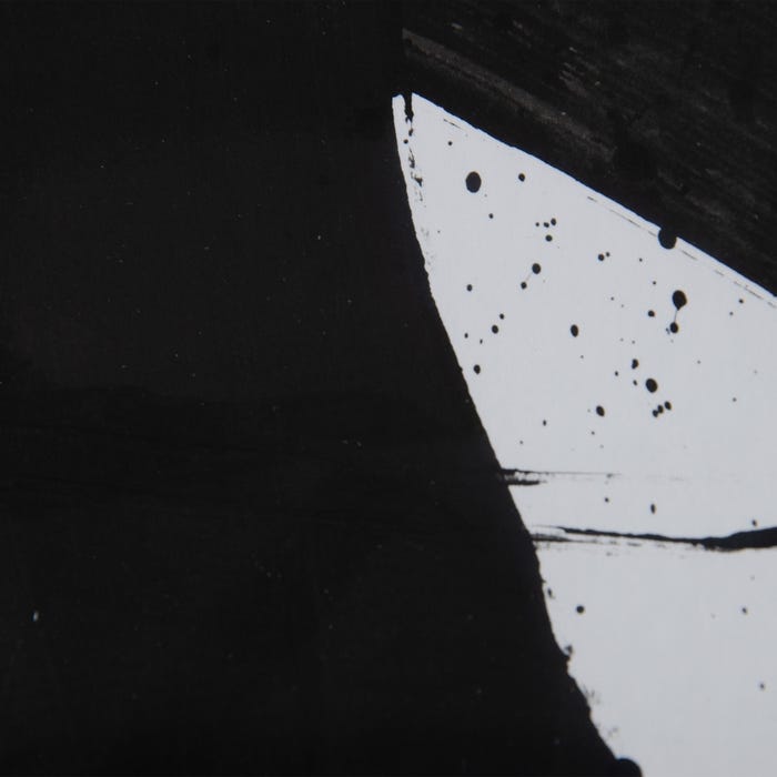 Painting Picture 2/M Black-White 113 X 1.70 X 113 Cm