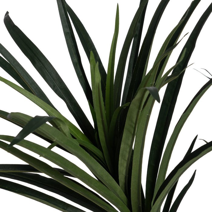 Planta Dracaena Verde Goma 130 Cm